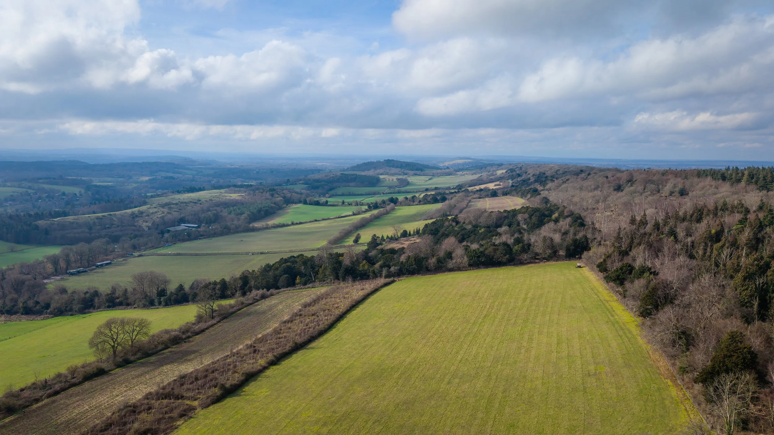 DJI_20260209123431_0054_D-DxO_DeepPRIME 3-topaz-sharpen.jpg