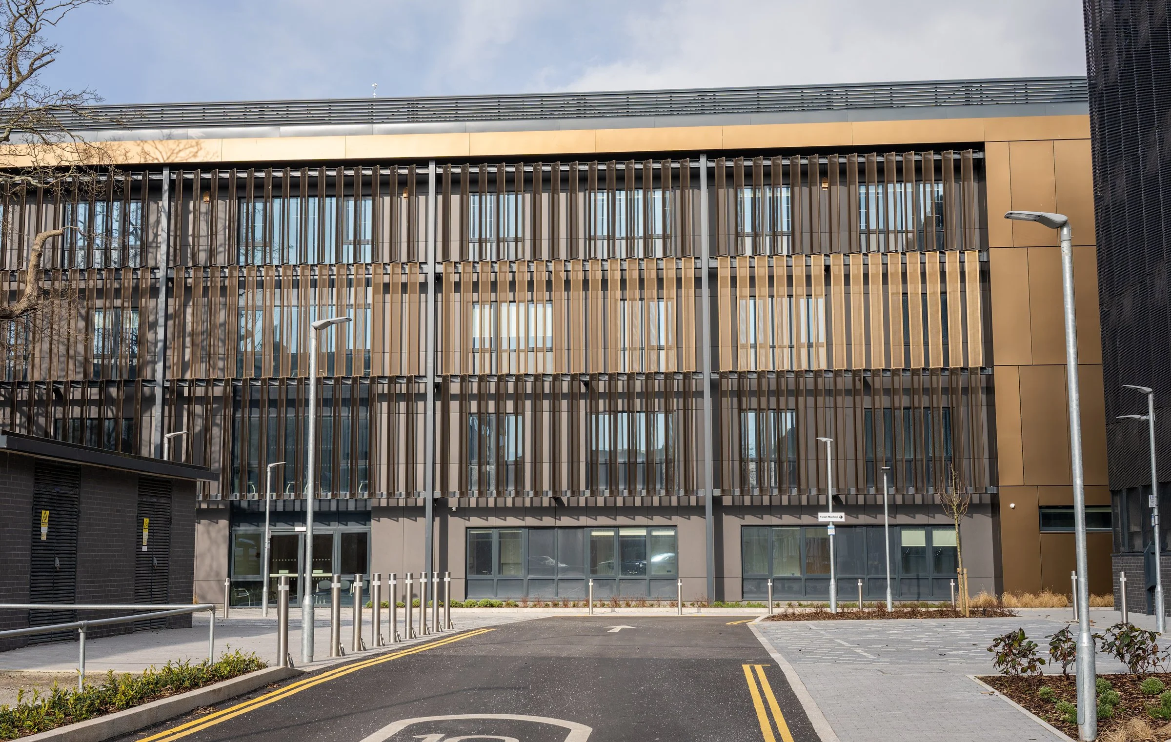 DSC02315-DxO_DeepPRIME XD2s.jpg