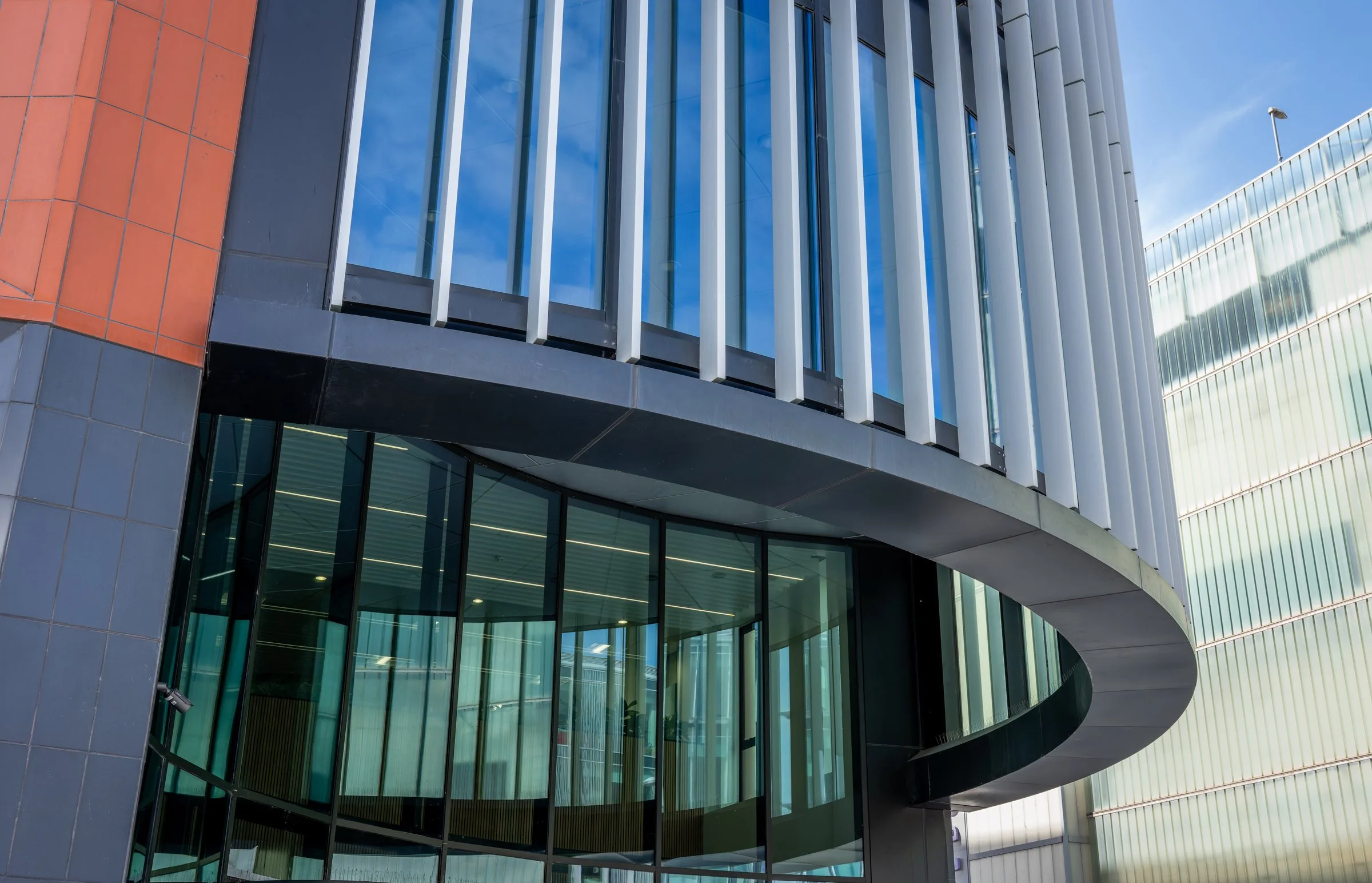 DSC06958-DxO_DeepPRIME XD2s.jpg