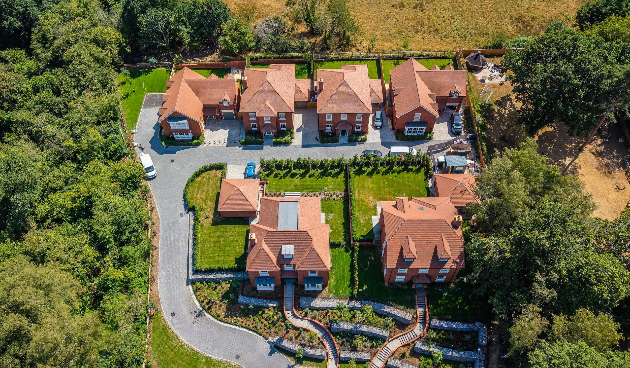 DJI_20260729143137_0318_D-DxO_DeepPRIME 3.jpg