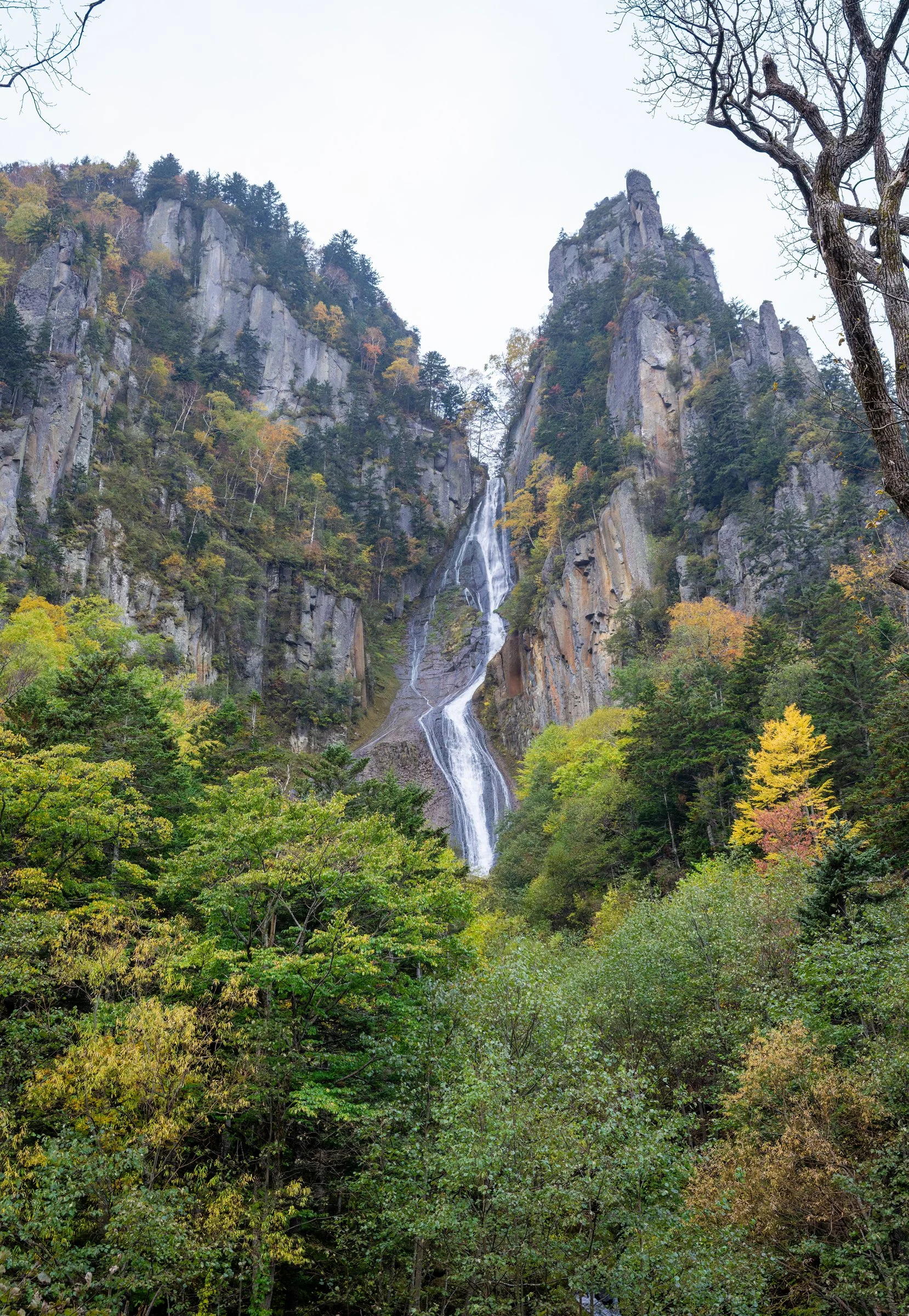 DSC07024-DxO_DeepPRIME 3.jpg