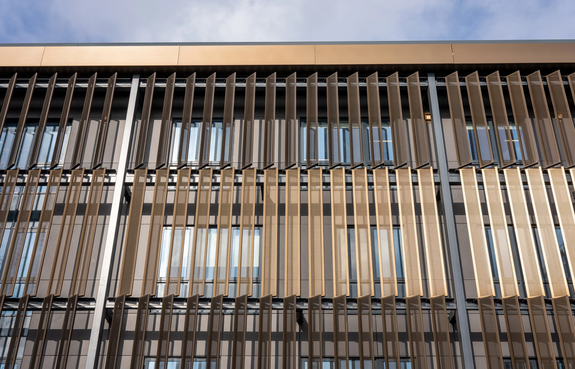 DSC02286-DxO_DeepPRIME XD2s.jpg