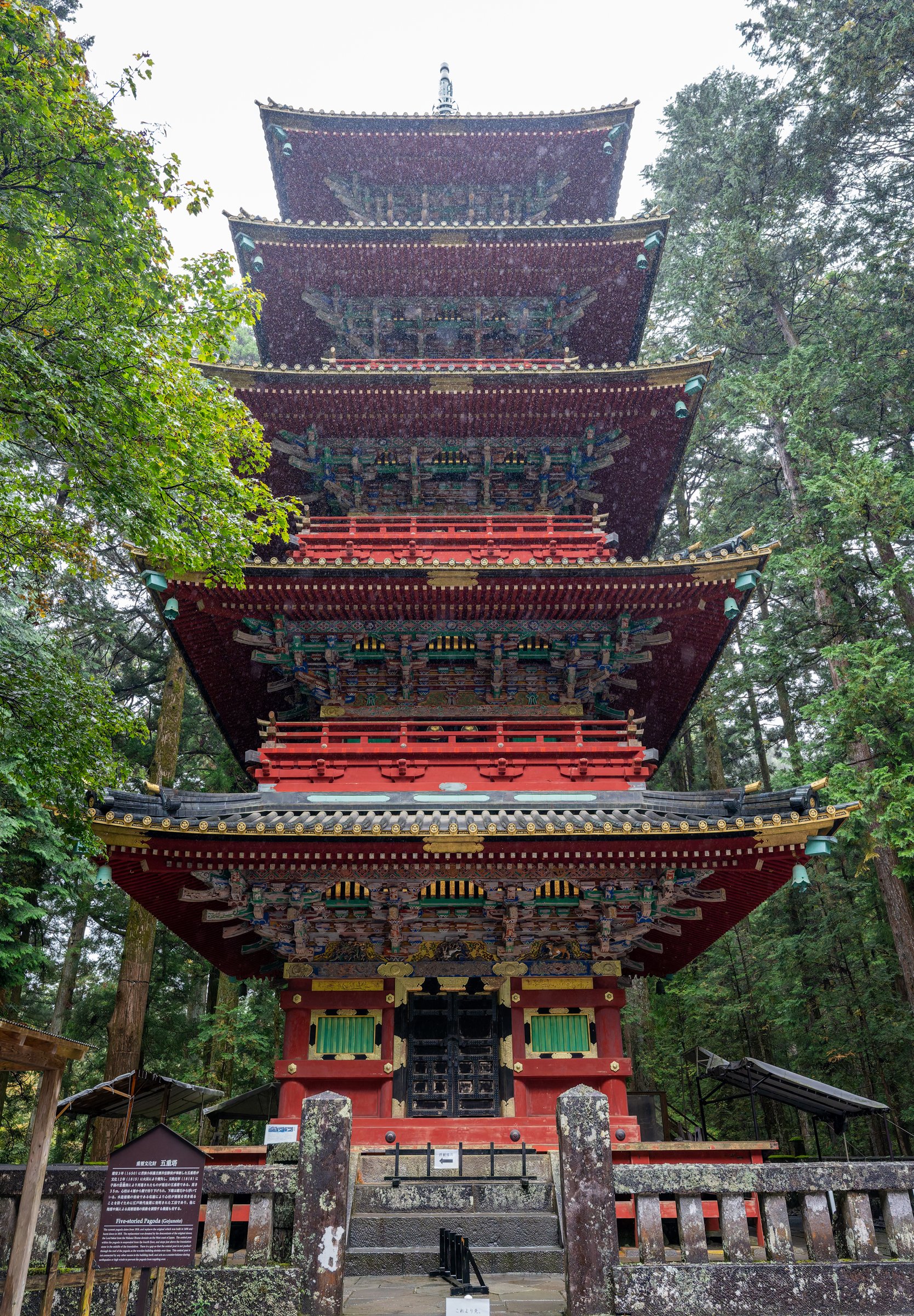 DSC01286-DxO_DeepPRIME 3.jpg