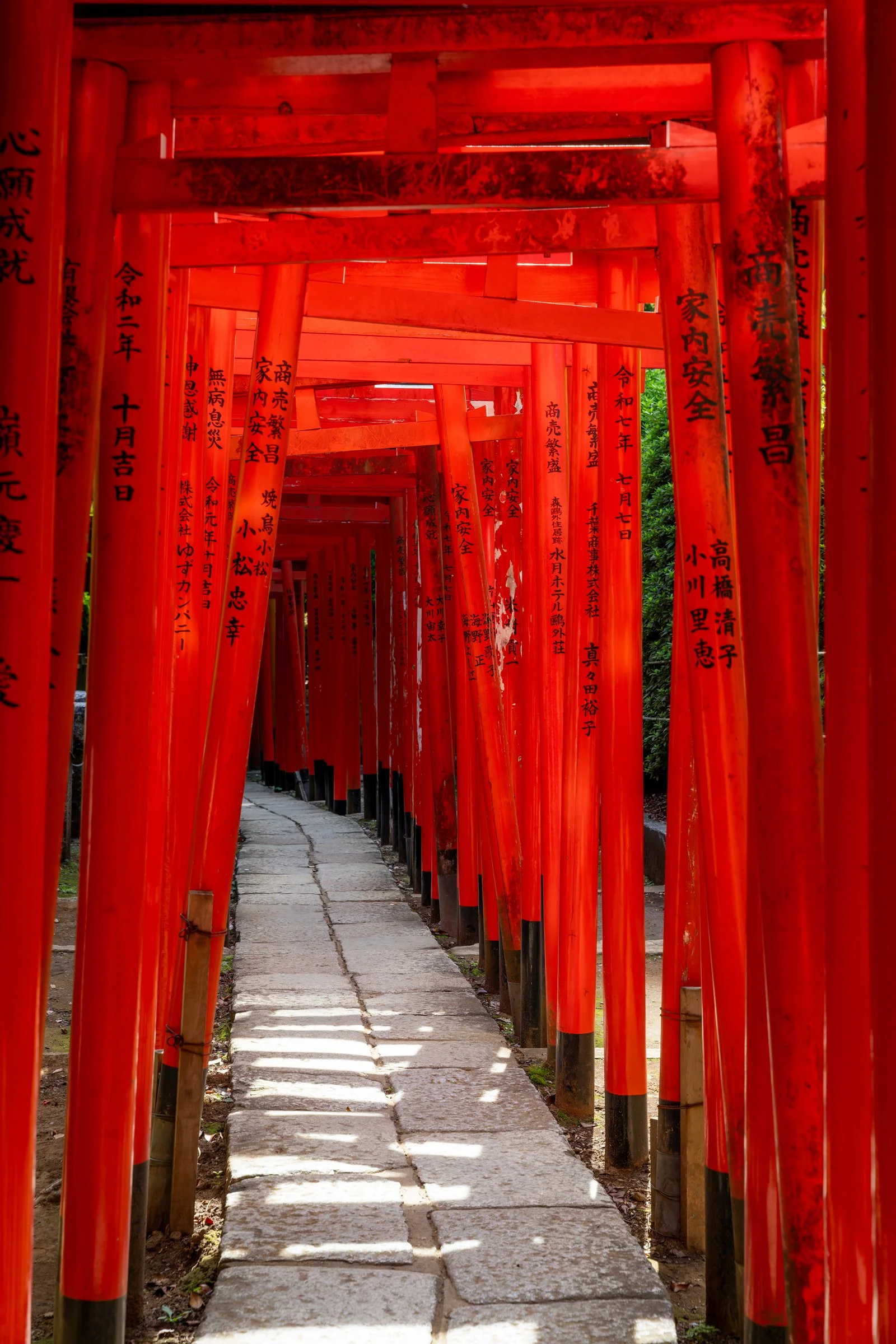 DSC02187-DxO_DeepPRIME 3.jpg