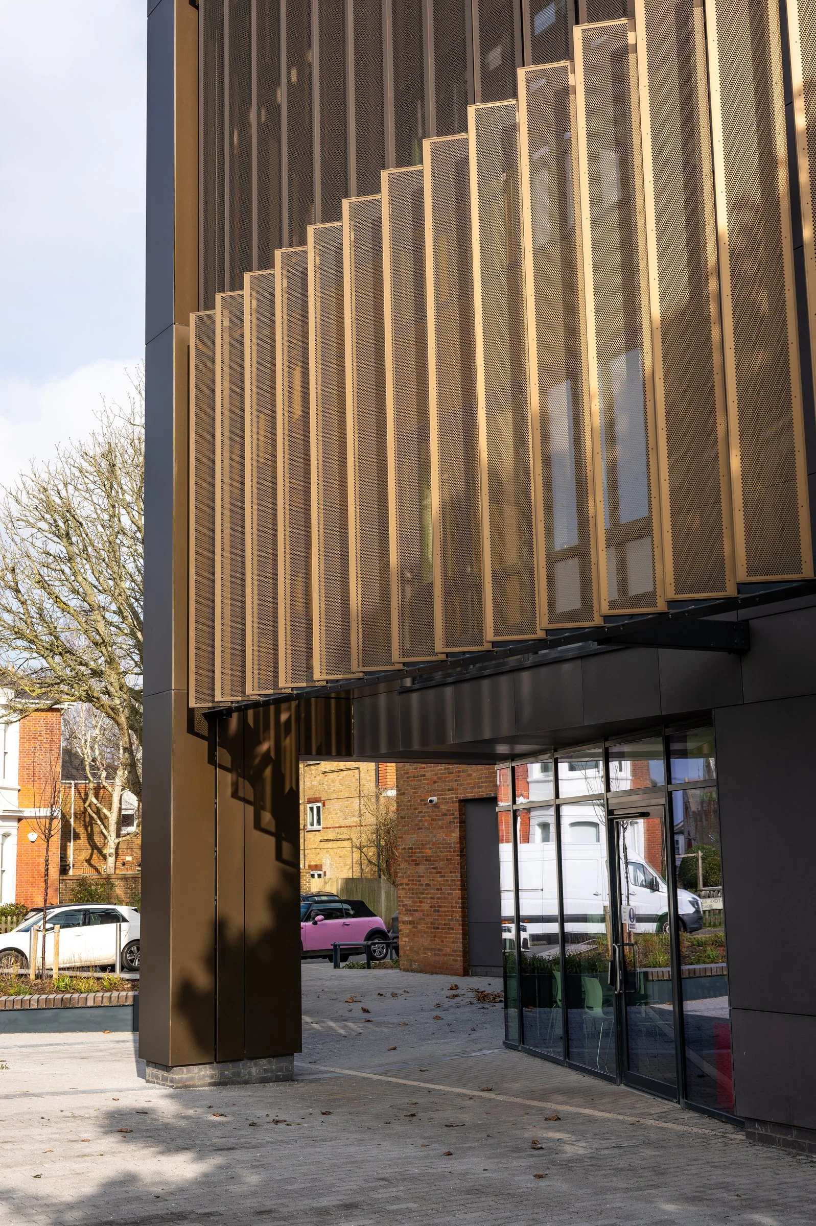 DSC02454-DxO_DeepPRIME XD2s.jpg