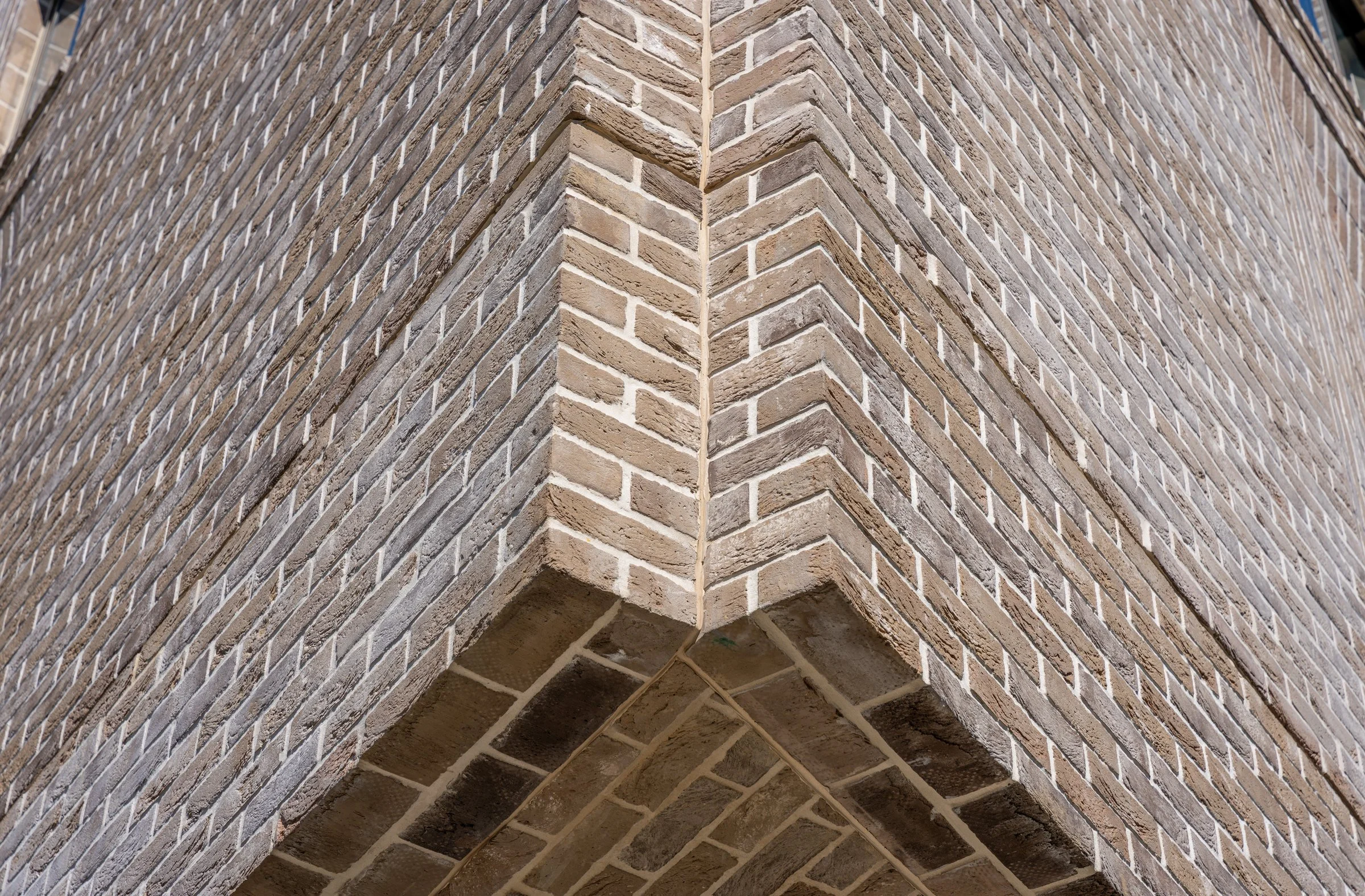 DSC05511-DxO_DeepPRIME XD2s.jpg