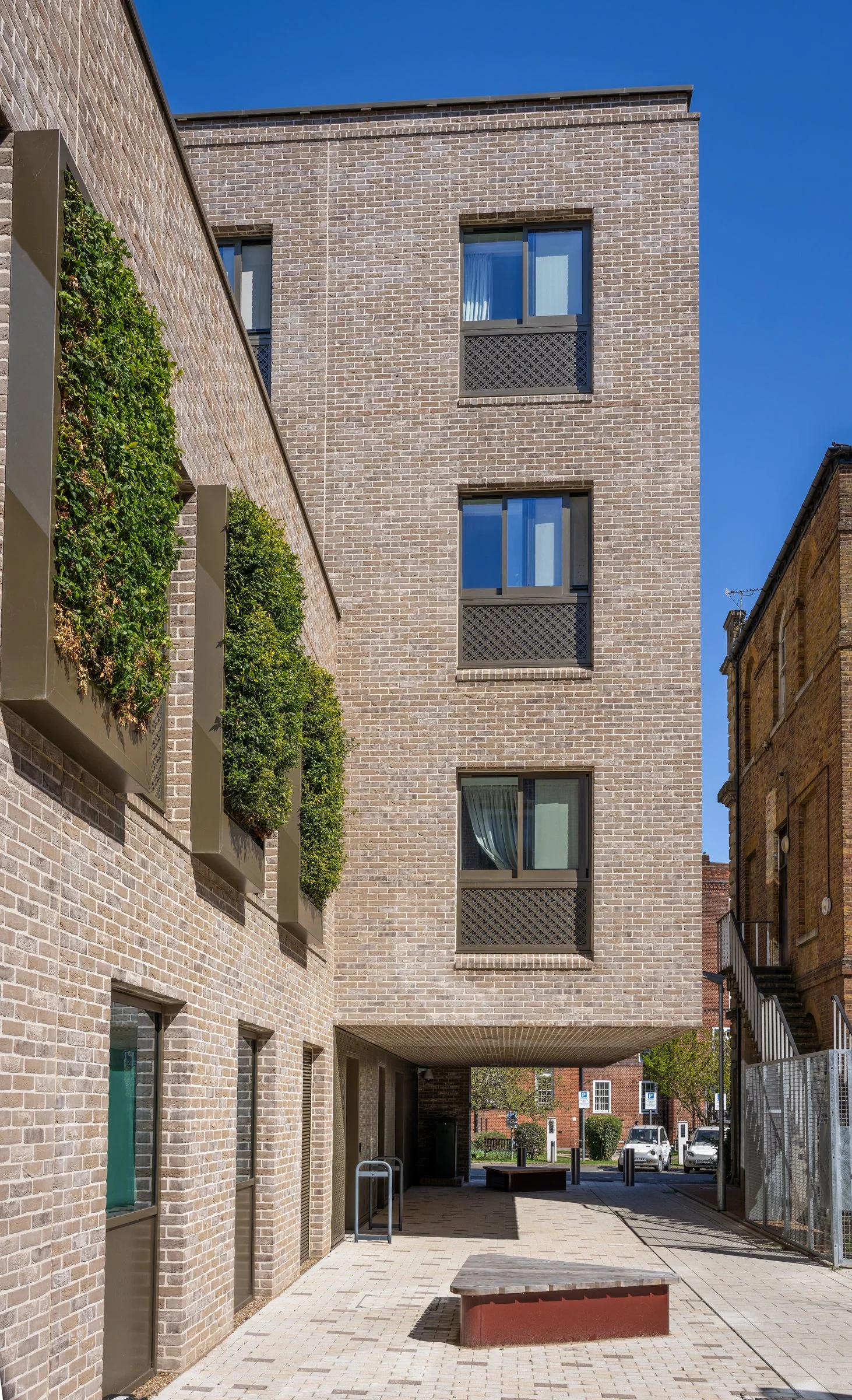 DSC05347-DxO_DeepPRIME XD2s.jpg