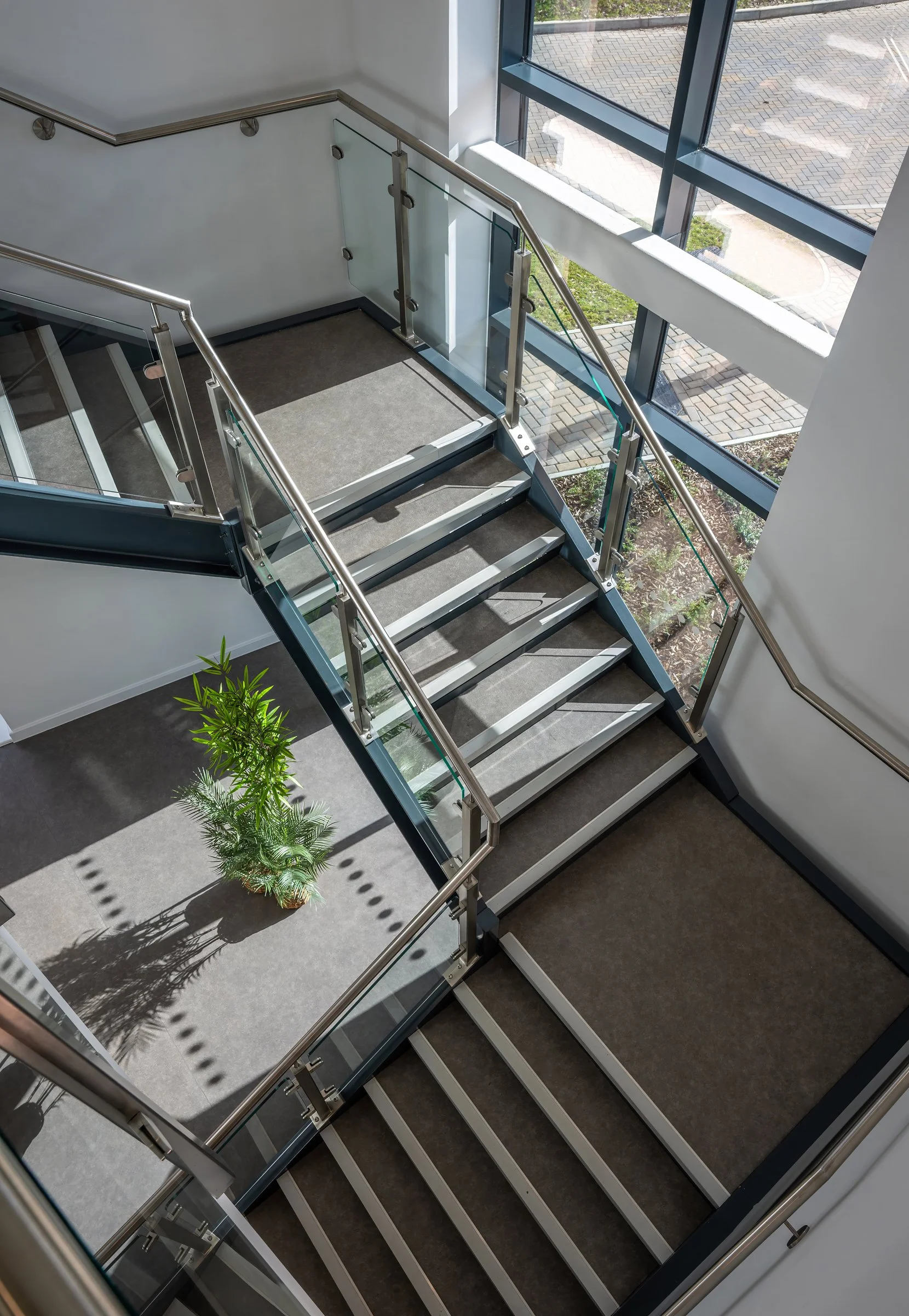 DSC09697-DxO_DeepPRIME 3-topaz-sharpen-denoise.jpg