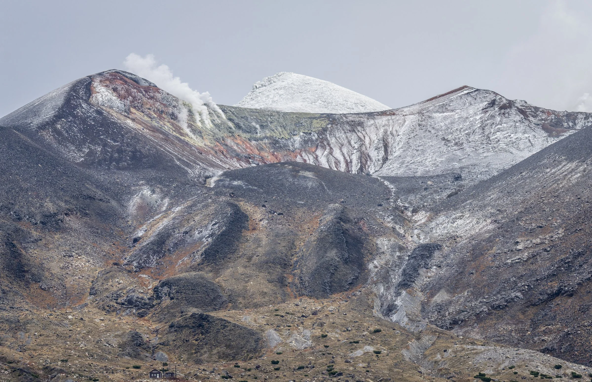 DSC06404-DxO_DeepPRIME 3.jpg