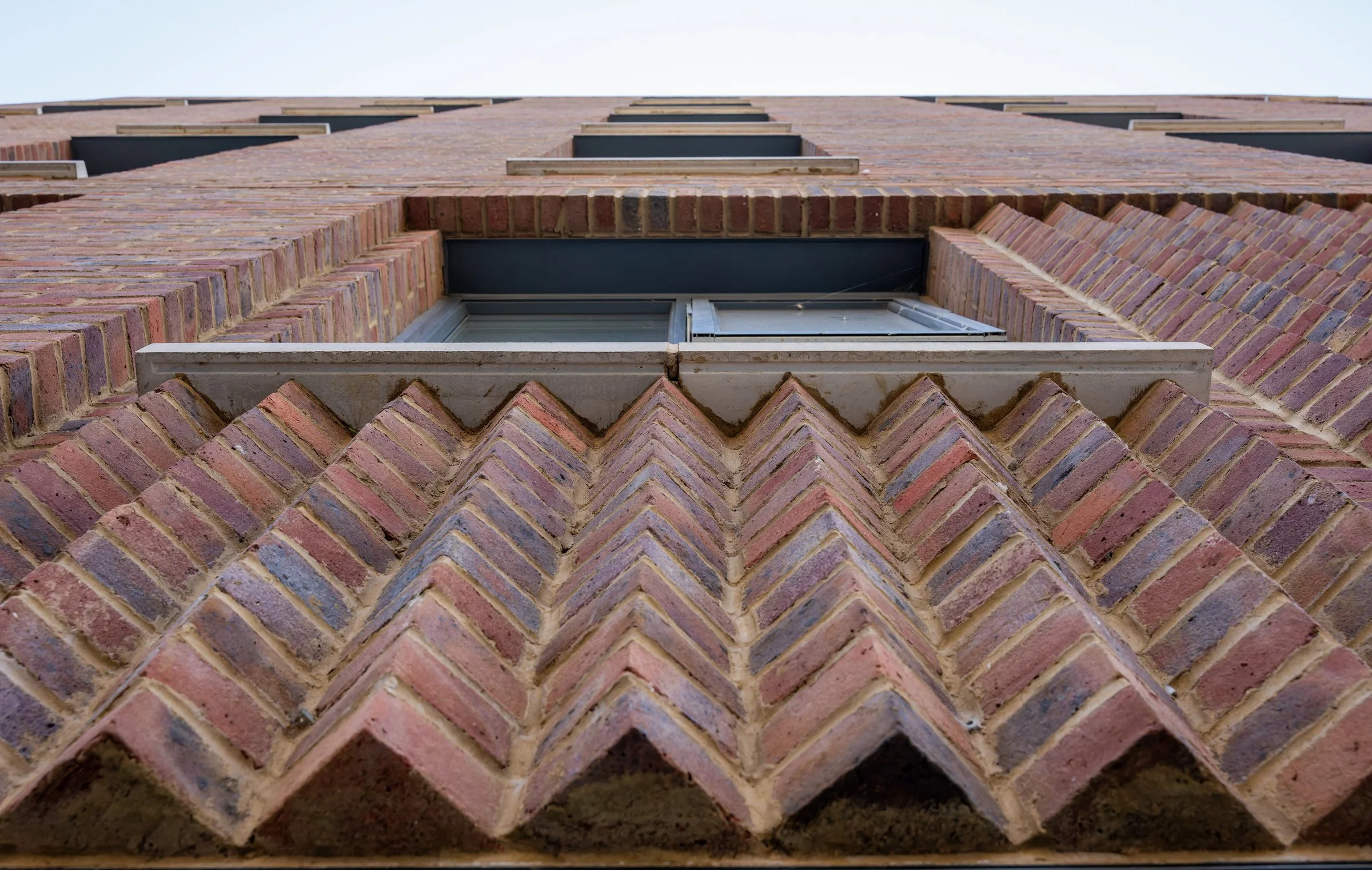 DSC06271-DxO_DeepPRIME XD2s.jpg