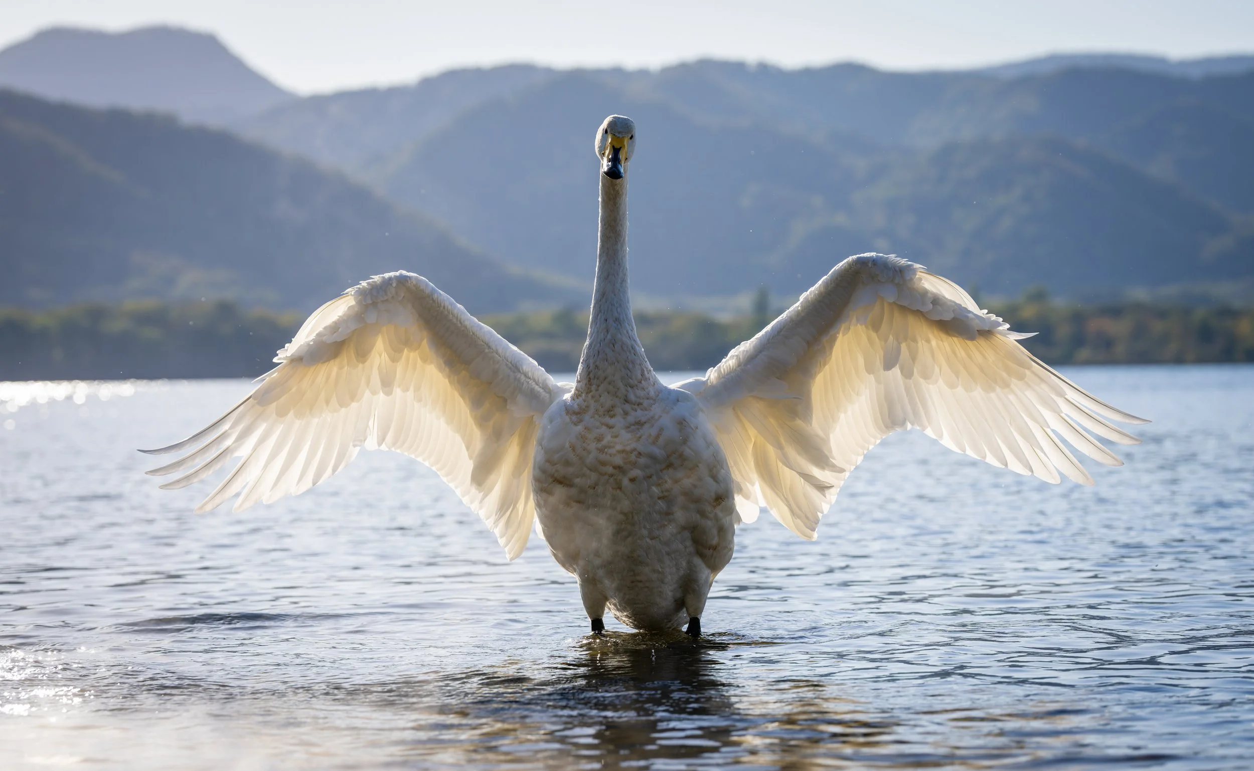 DSC00175-DxO_DeepPRIME 3.jpg