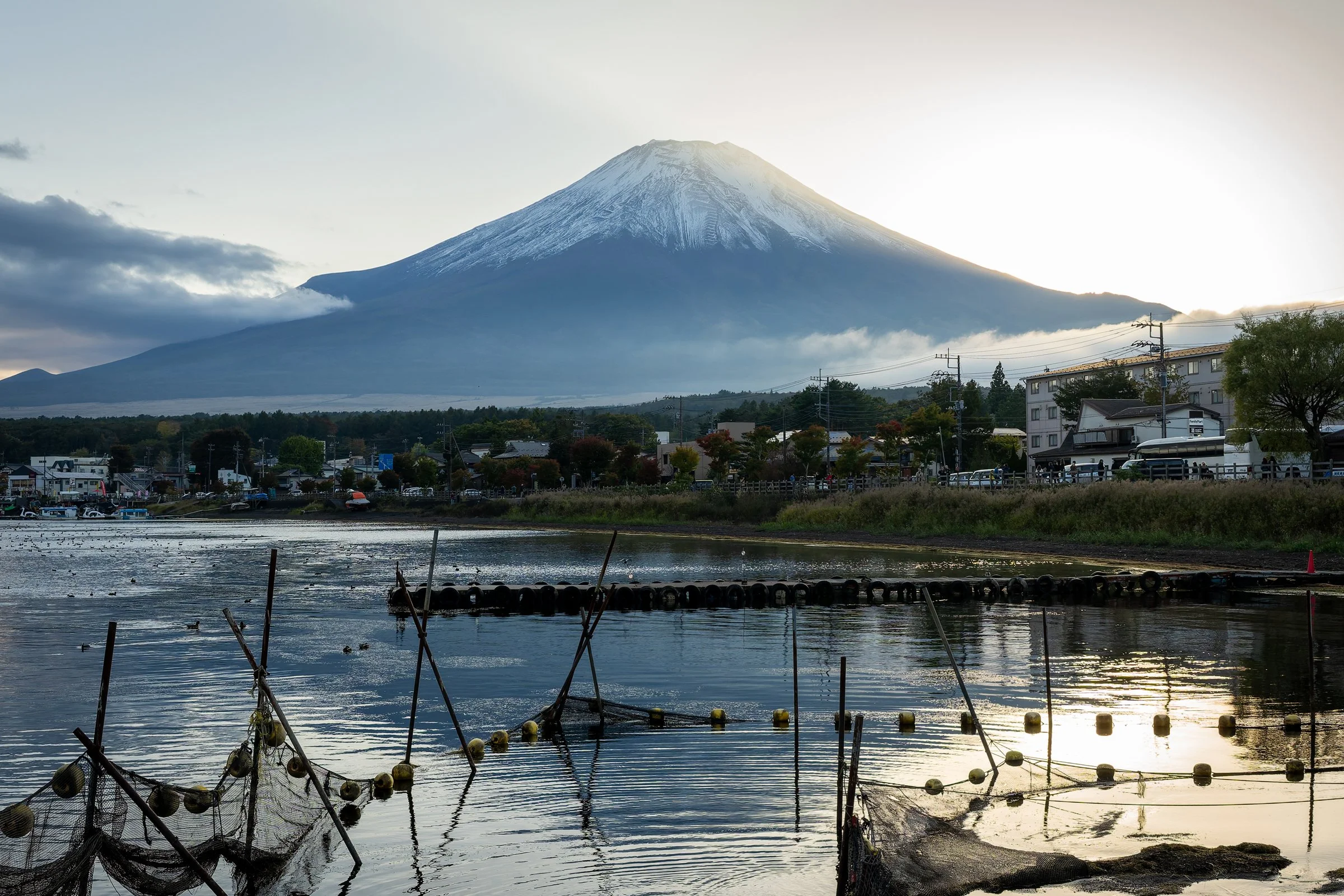 DSC09612-DxO_DeepPRIME 3.jpg