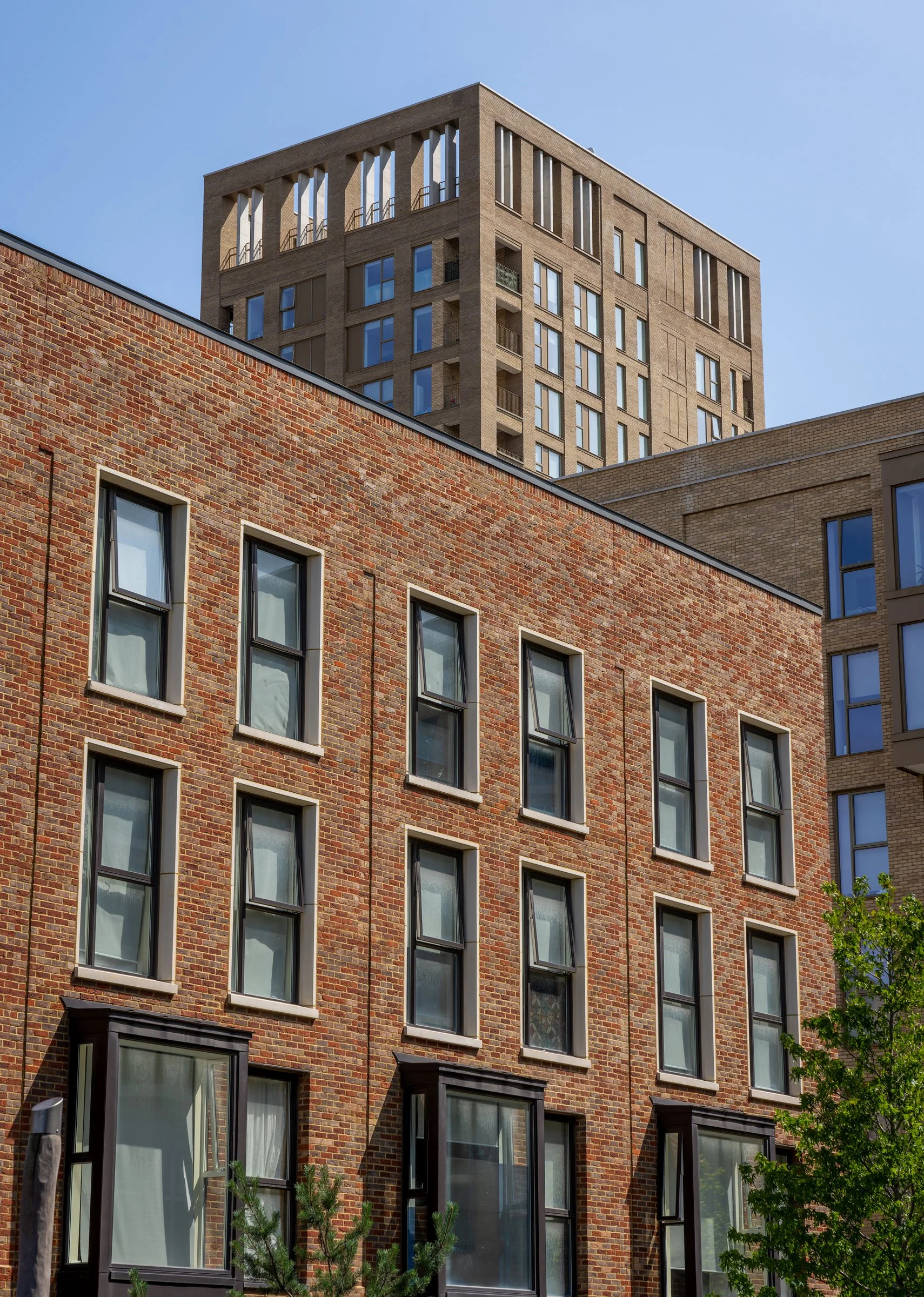 DSC06238-DxO_DeepPRIME XD2s.jpg