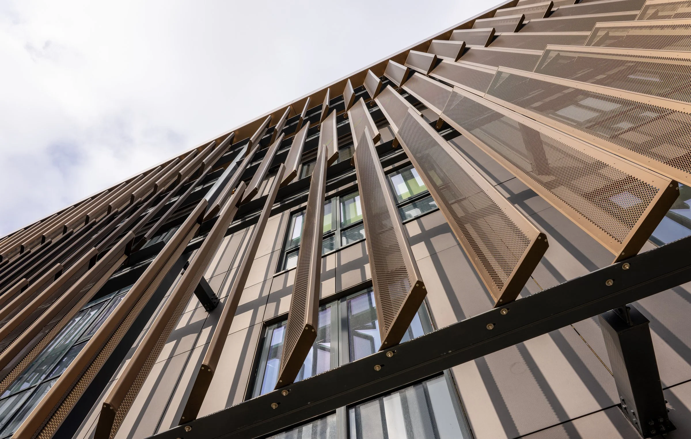 DSC02364-DxO_DeepPRIME XD2s.jpg