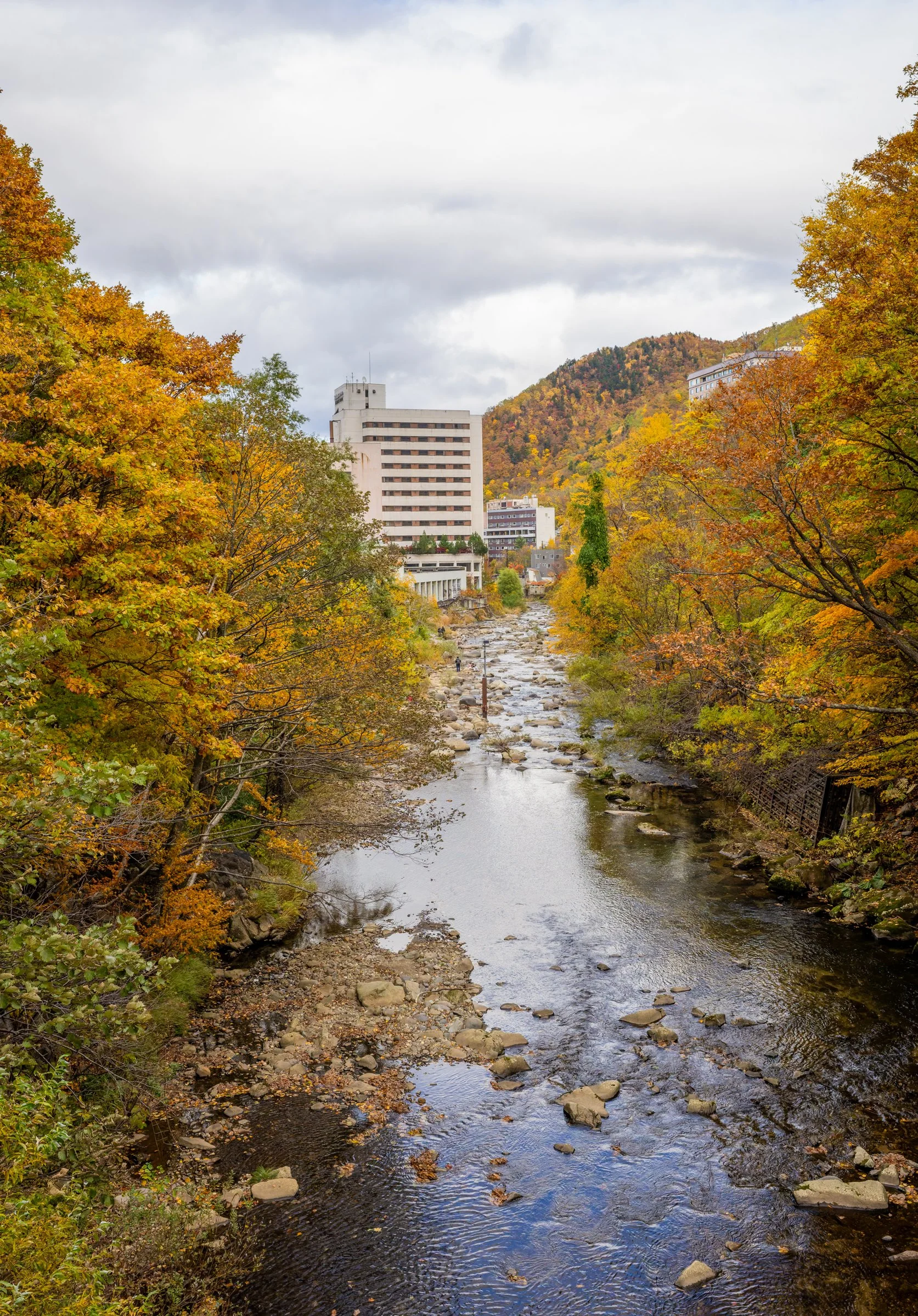 DSC08006-DxO_DeepPRIME 3.jpg