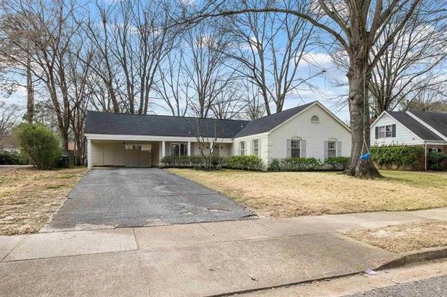 Richbriar Memphis.jfif