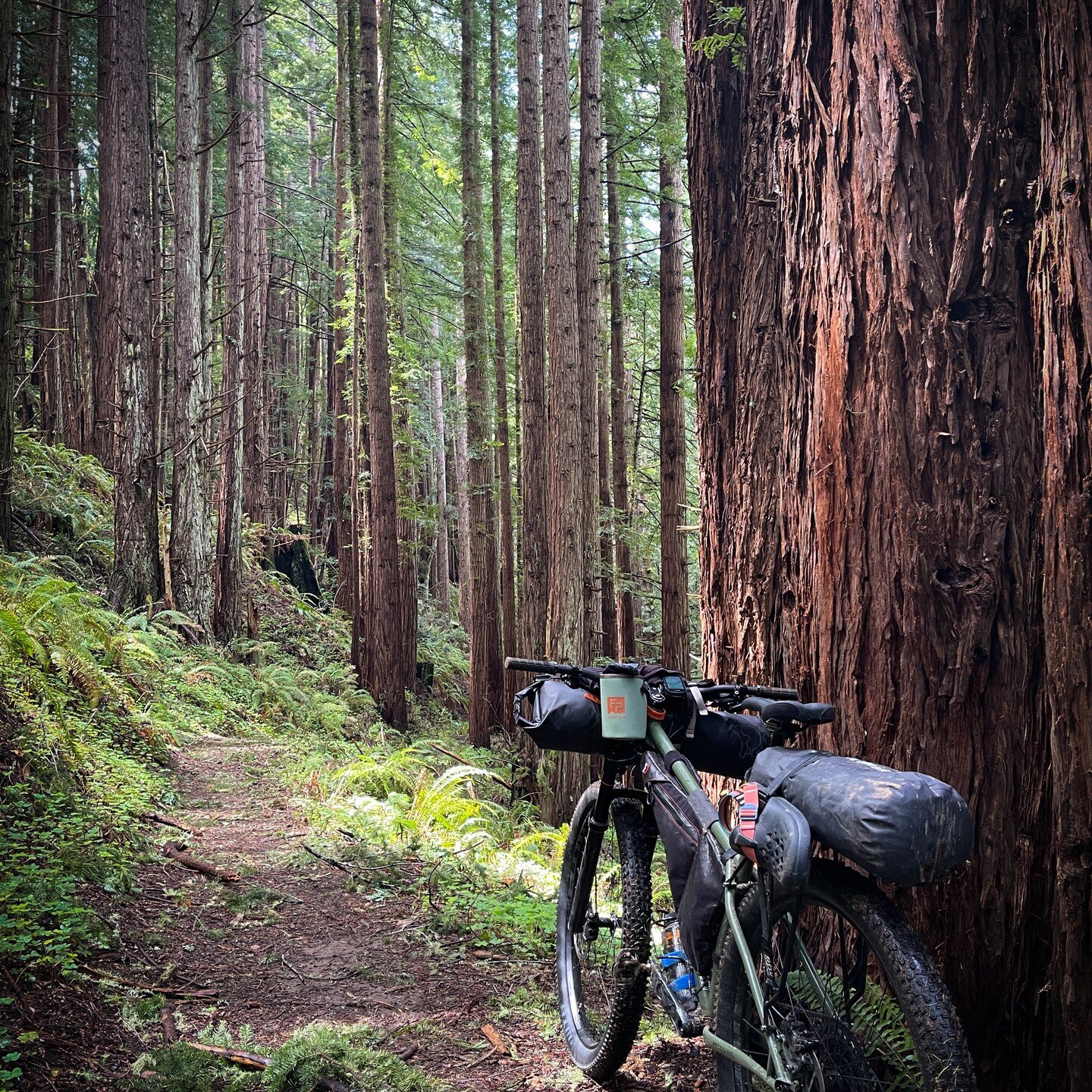 Solo Santa Cruz Mountain Traverse on my Surly.... What an amazing trip!

There is not enough room to fit it all in with one post..... but this might sum it up....

3 days, 110 miles, 15,000 feet of climbing, 90 percent dirt, 60 percent singletrack. 
