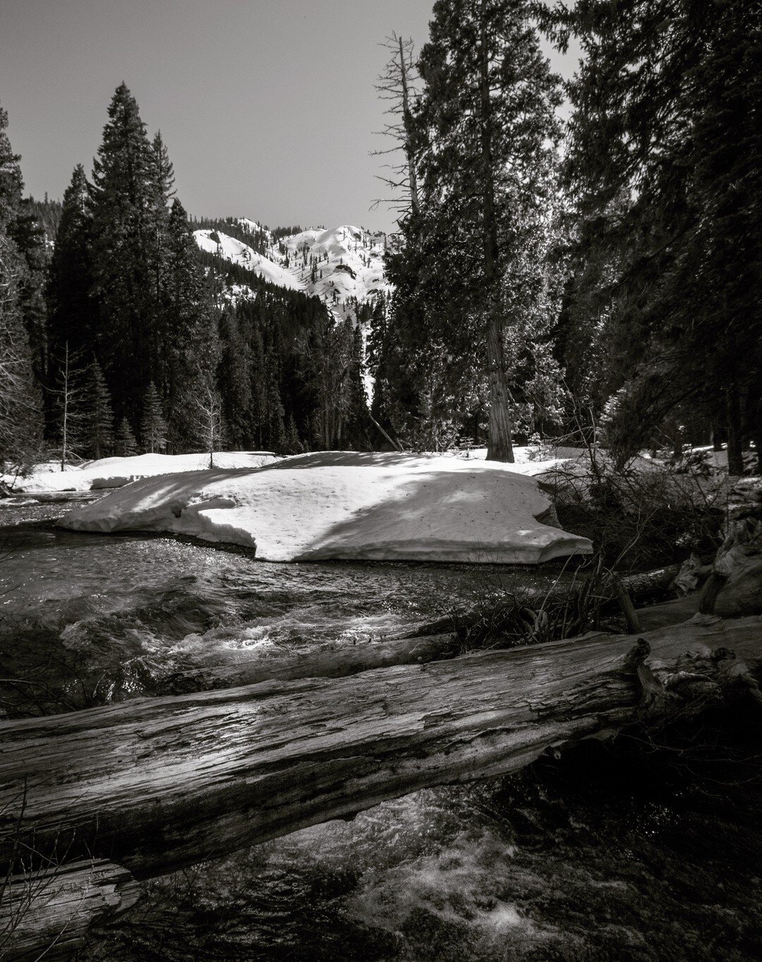 Mount Washington via Jamison Creek.... The Lost Sierra

#lostsierra #plumasnationalforest #plumascounty #plumaseurekastatepark #getoutside #somewherelostinthewoods #blackandwhitephotography #landscapephotography #bwphotography #mountains #fujifilm #f