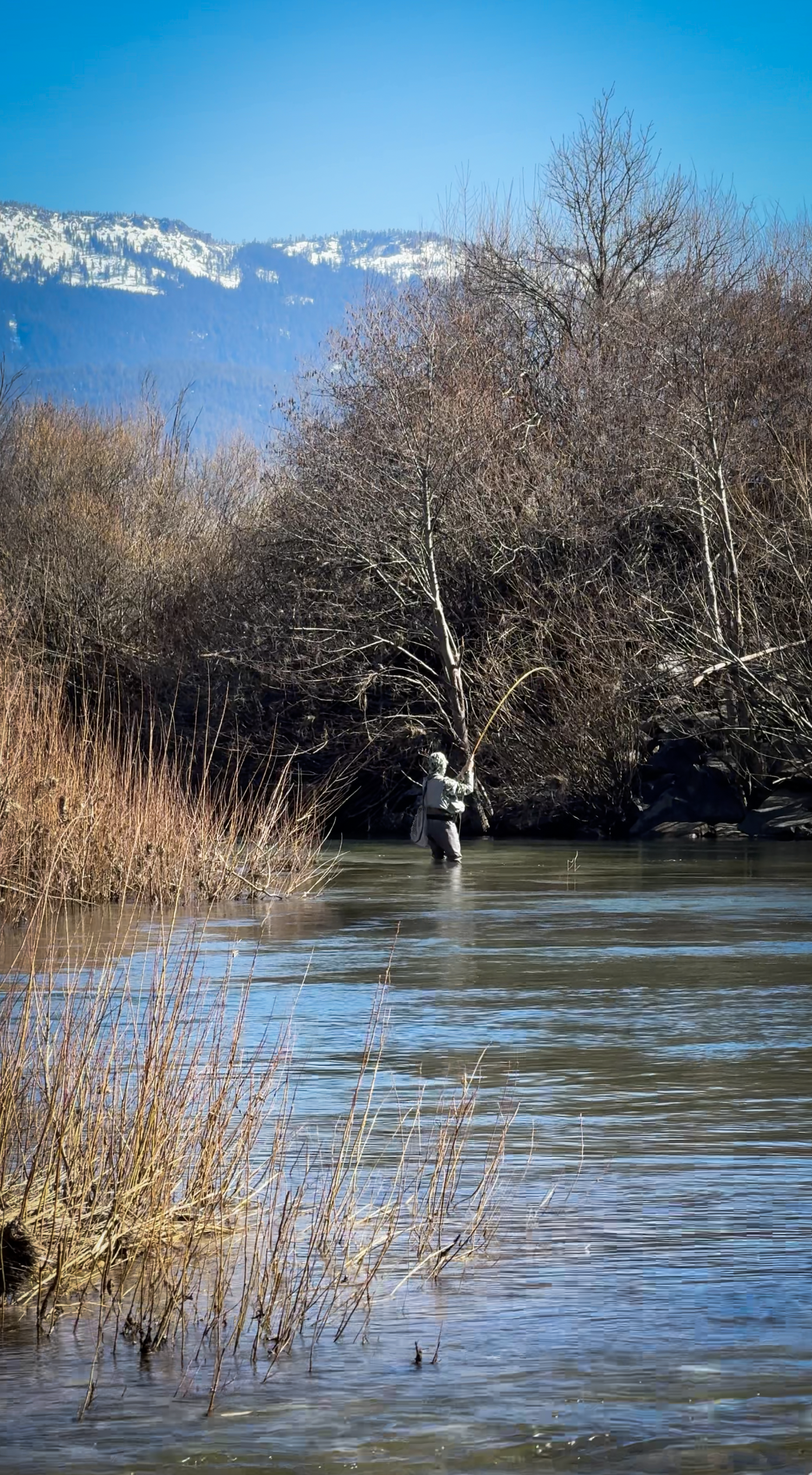 Winter Fly Fishing in The Northern Sierras