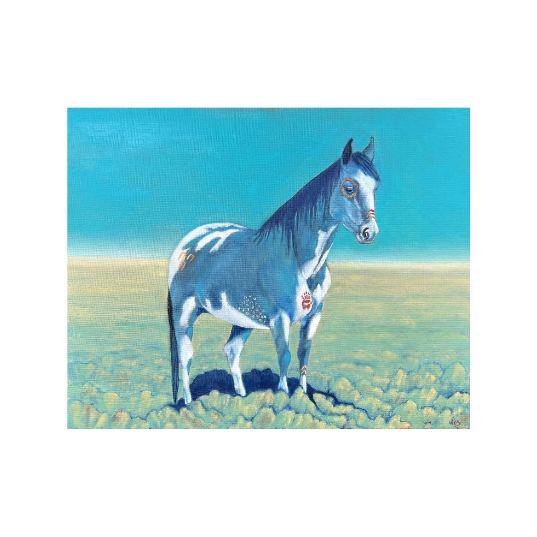 SkyDog for Web .jpg