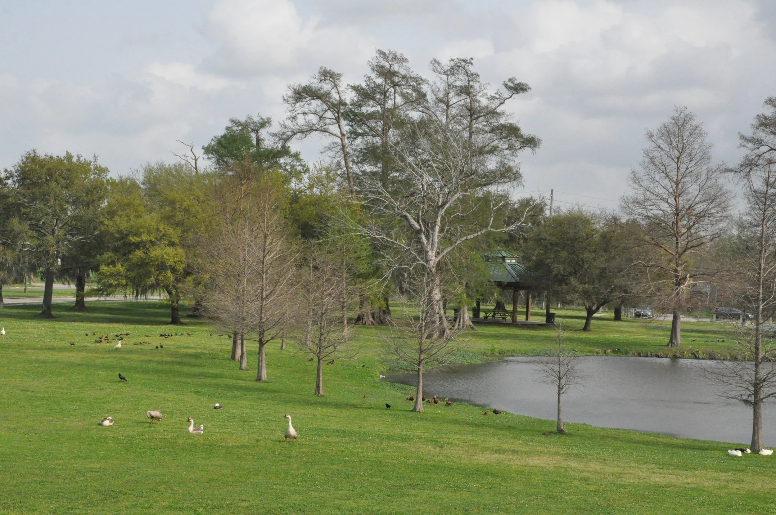 30 Sidney Torres Park(2).JPG