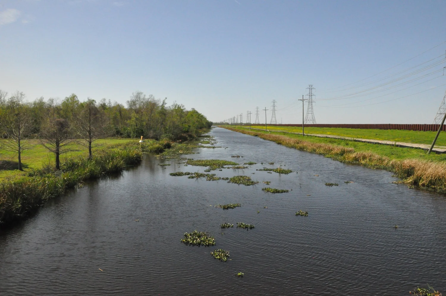 Louisiana wetlands and bayou landscape near St. Bernard Parish, the region associated with The Pet Cemetery Murders documentary