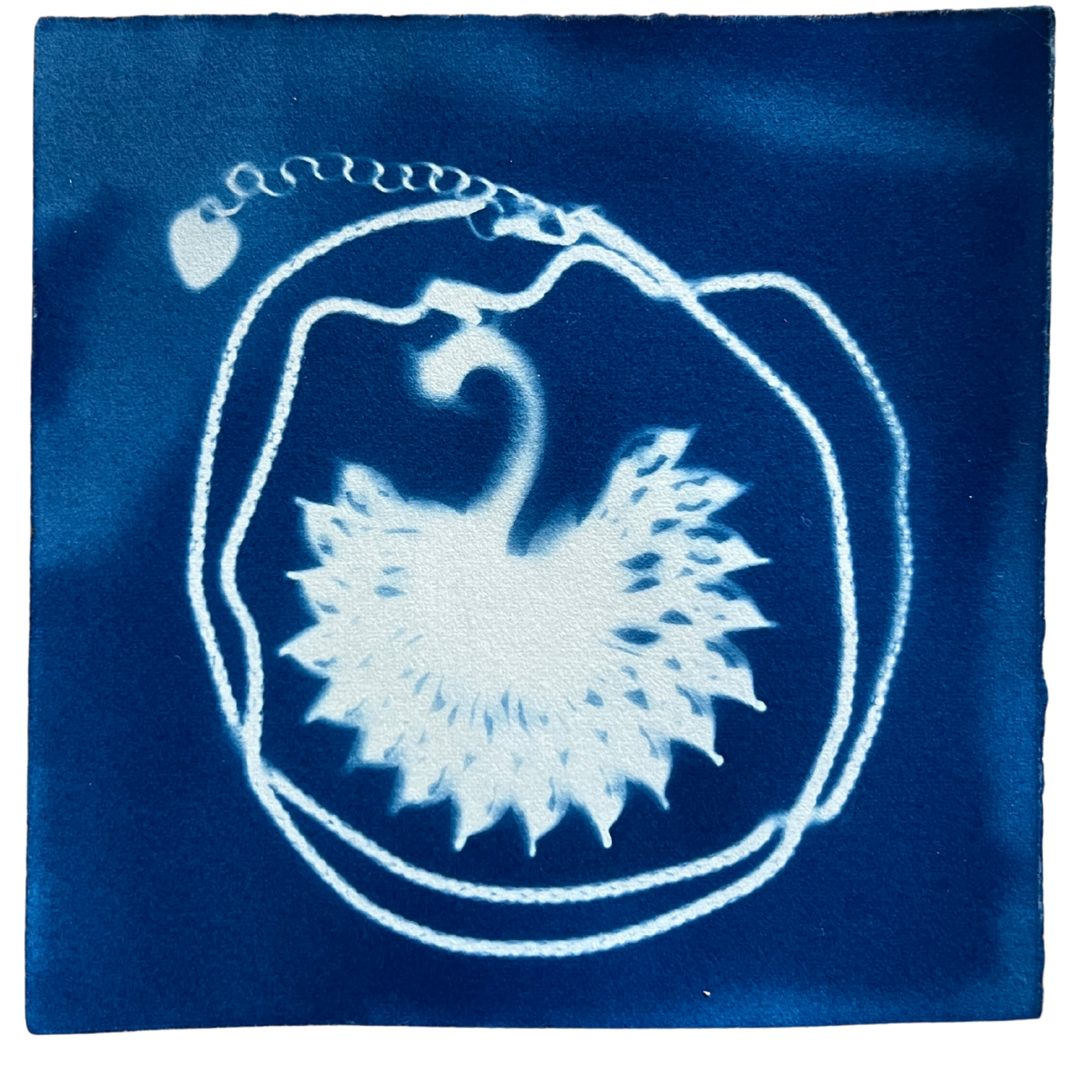 Swan Pendant Framed.png