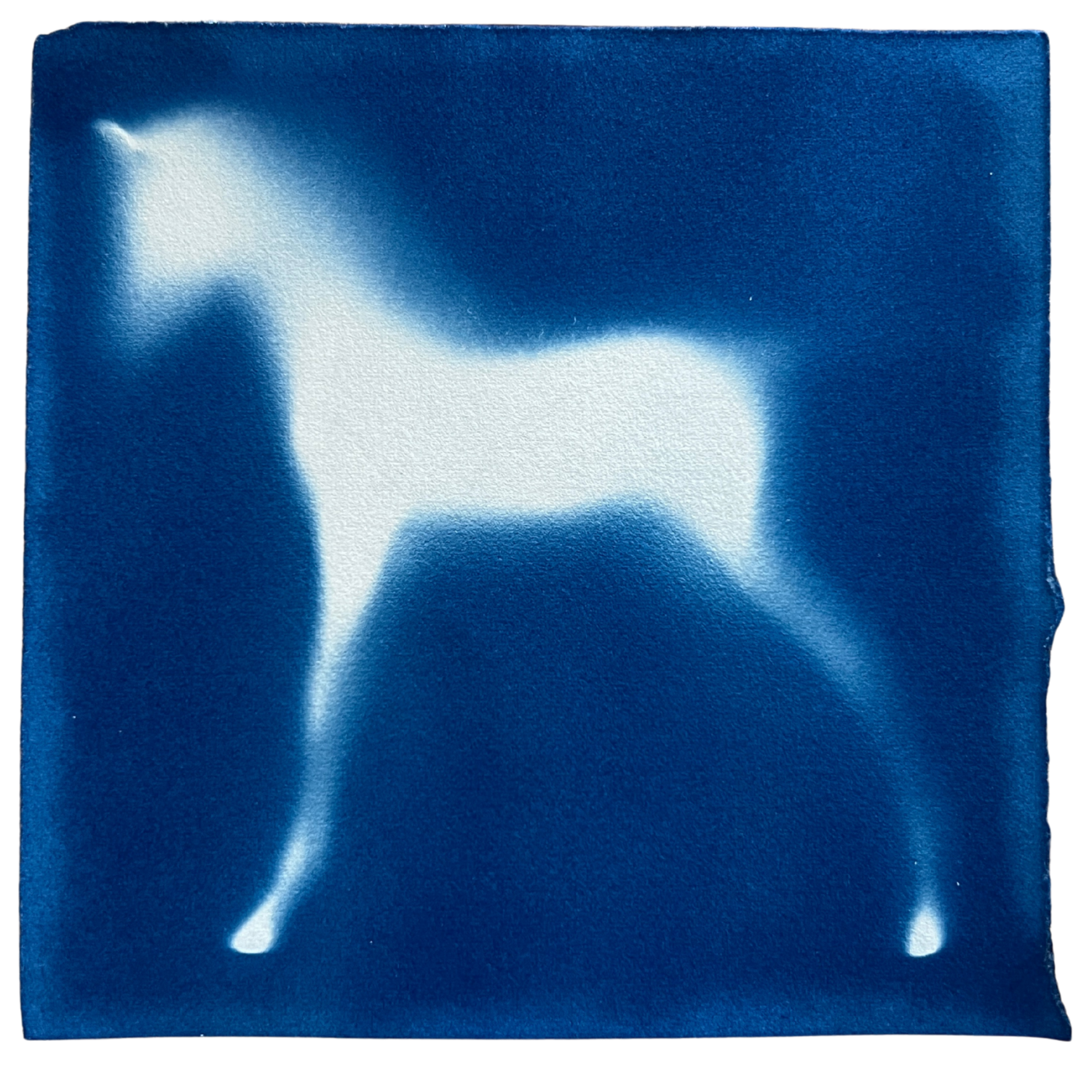 Toy Horse Framed.png