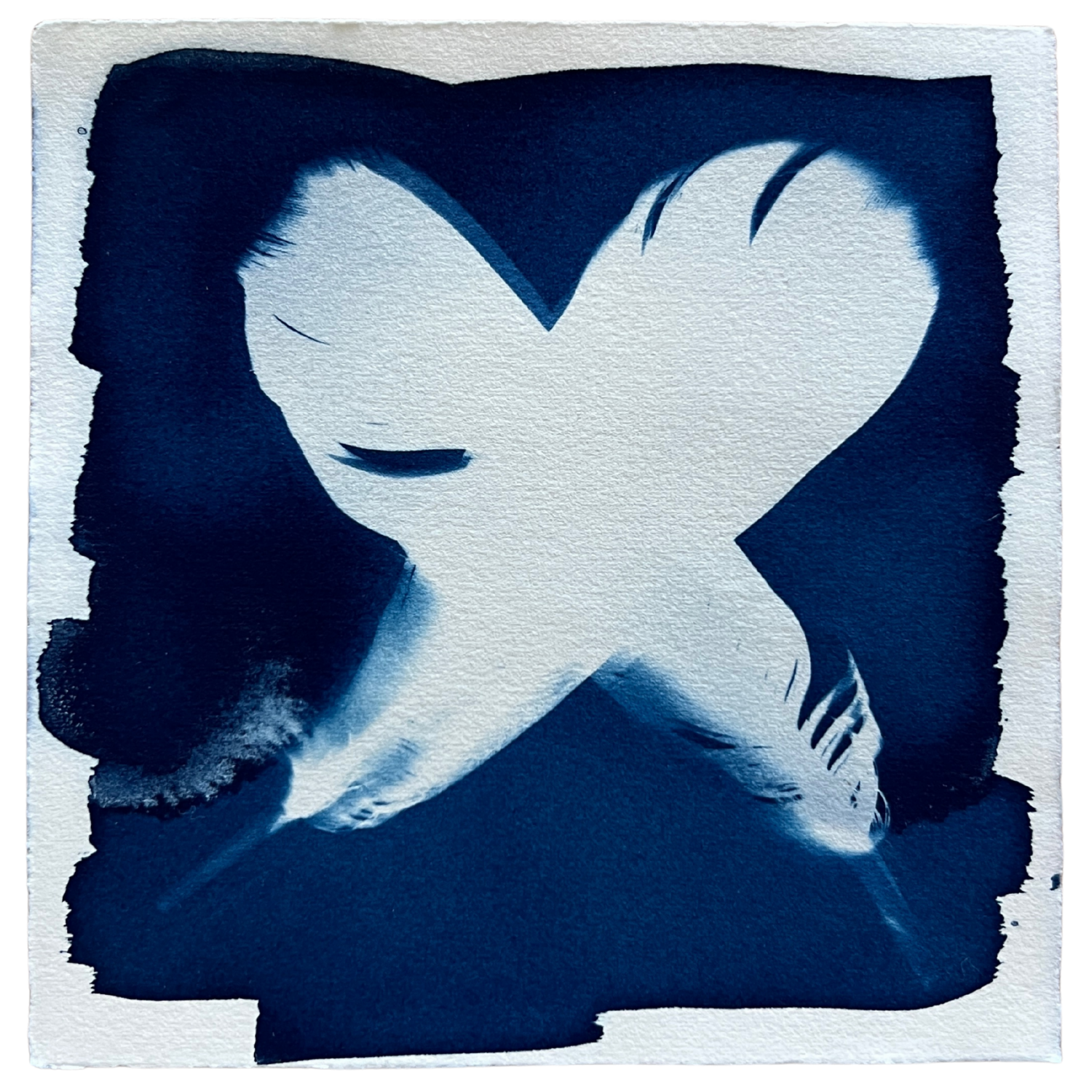 Feathers 2 Framed.png