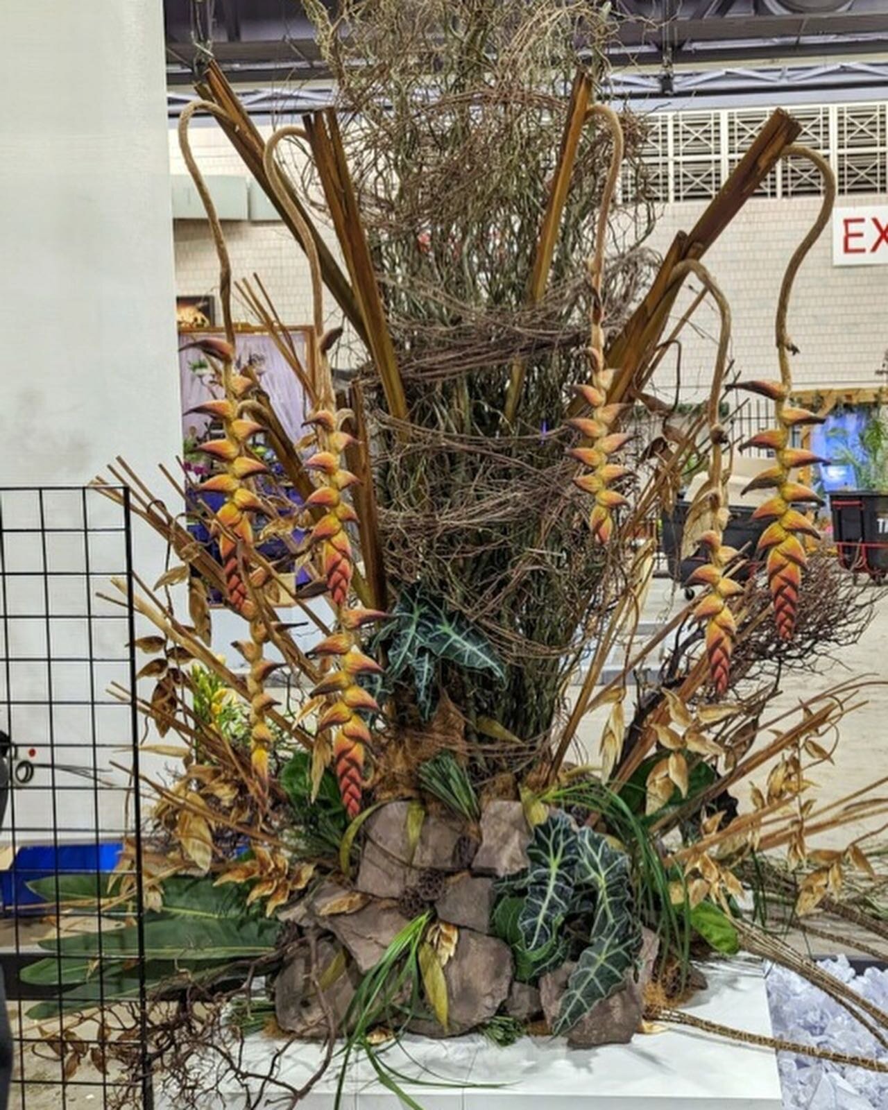 Doors open to the @phsgardening Philadelphia Flower Show tomorrow!  Grab your tickets and be sure to visit the AIFD exhibit and snap a pic of my installation!

Thank you to @aifdnortheast for the honor and opportunity. It was a privilege to work with