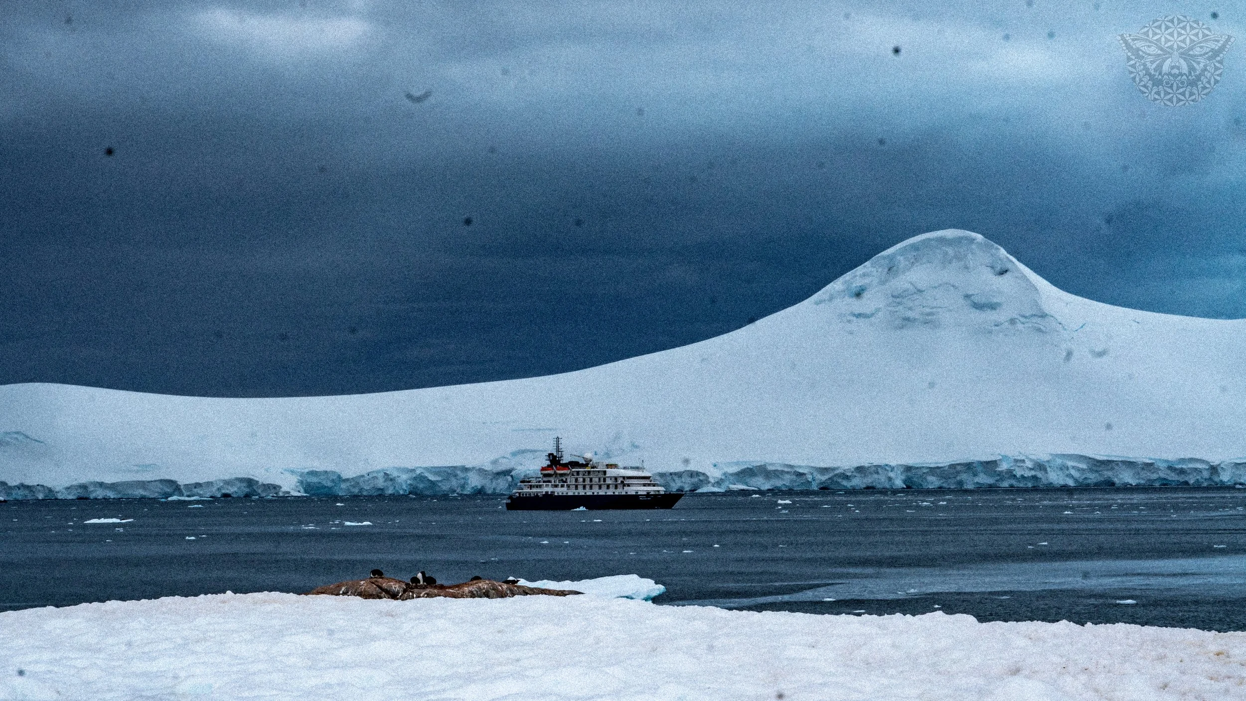 _DSC2312.jpeg