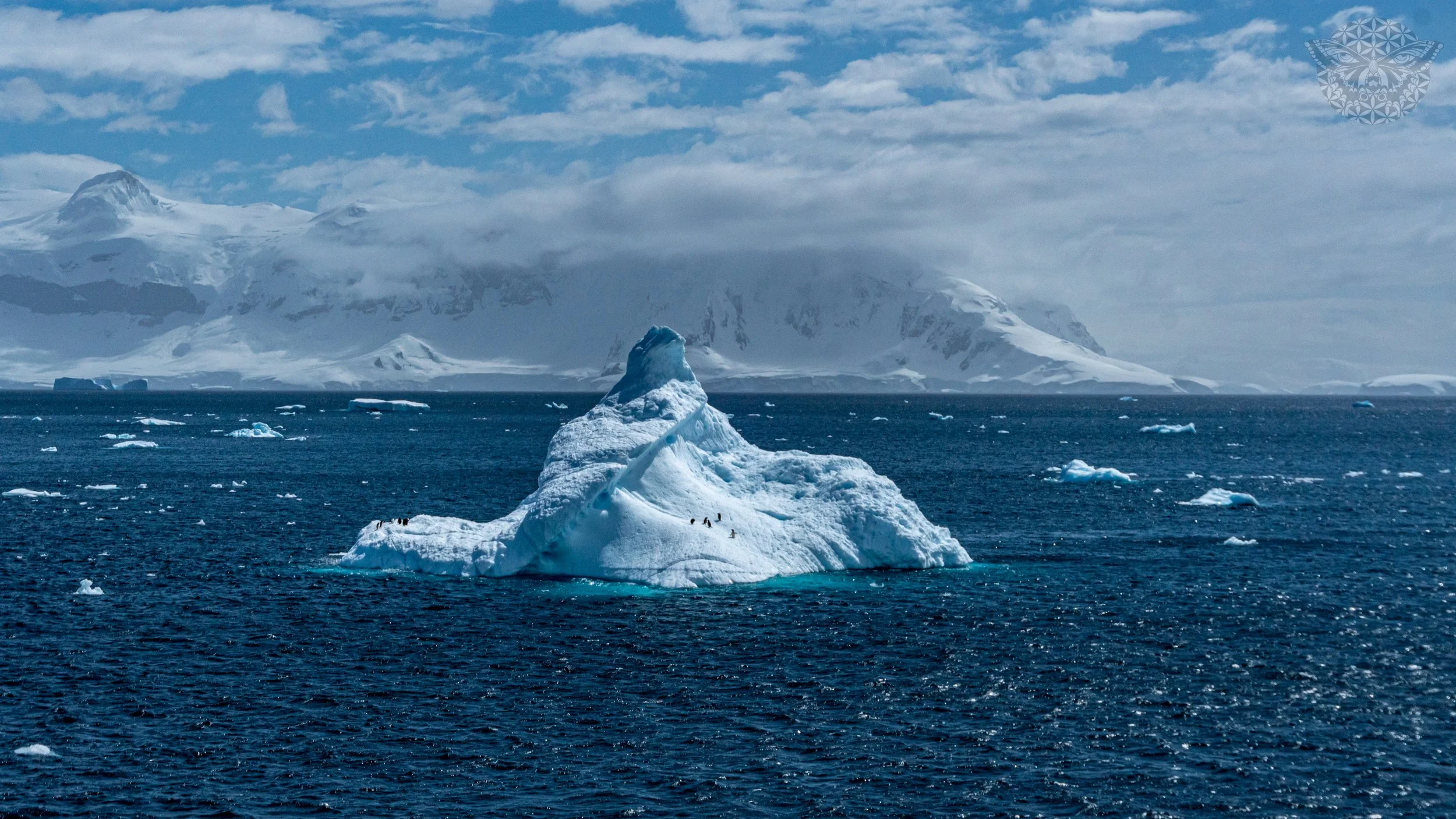 _DSC2489.jpeg