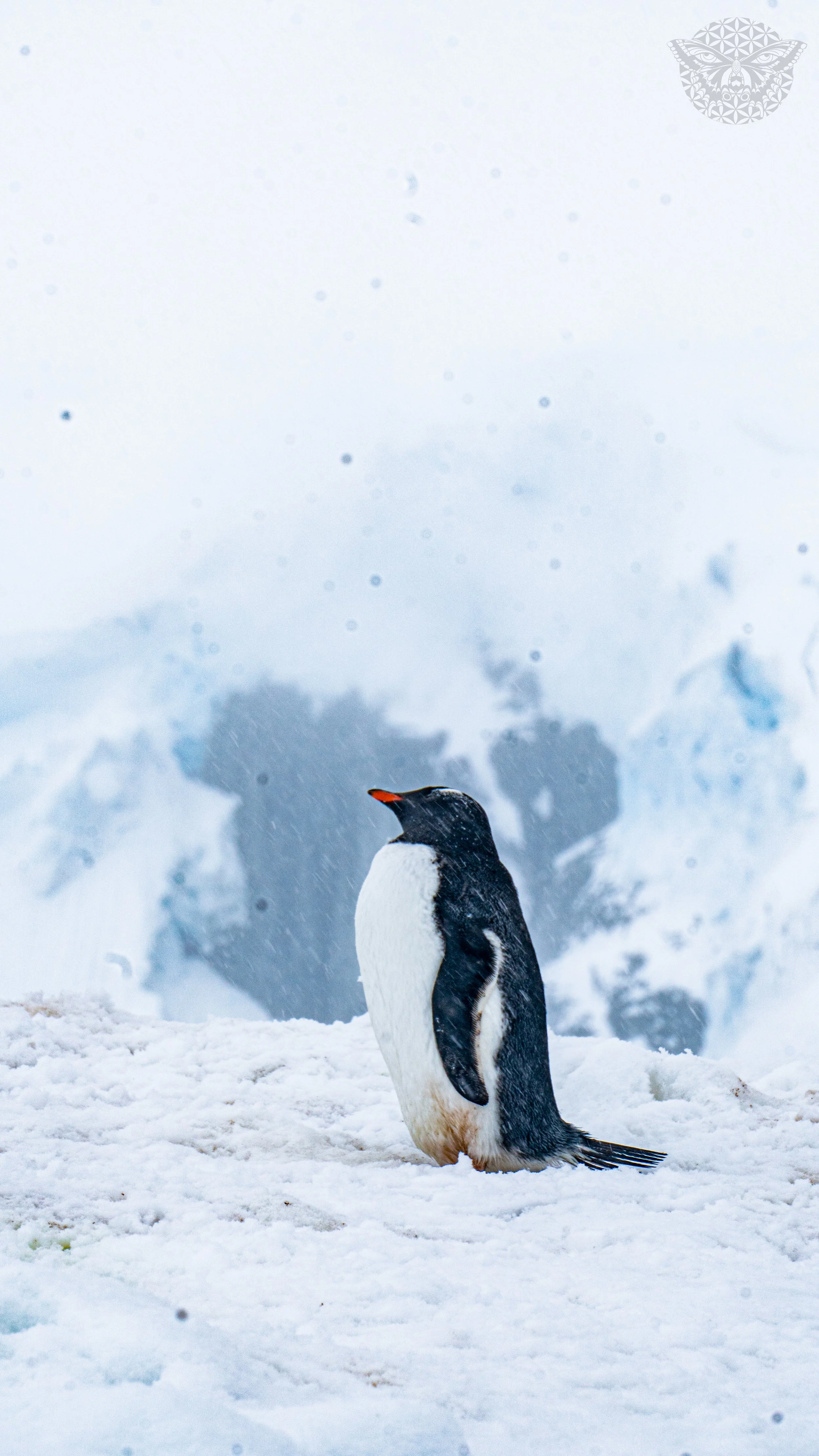 _DSC2809.jpeg