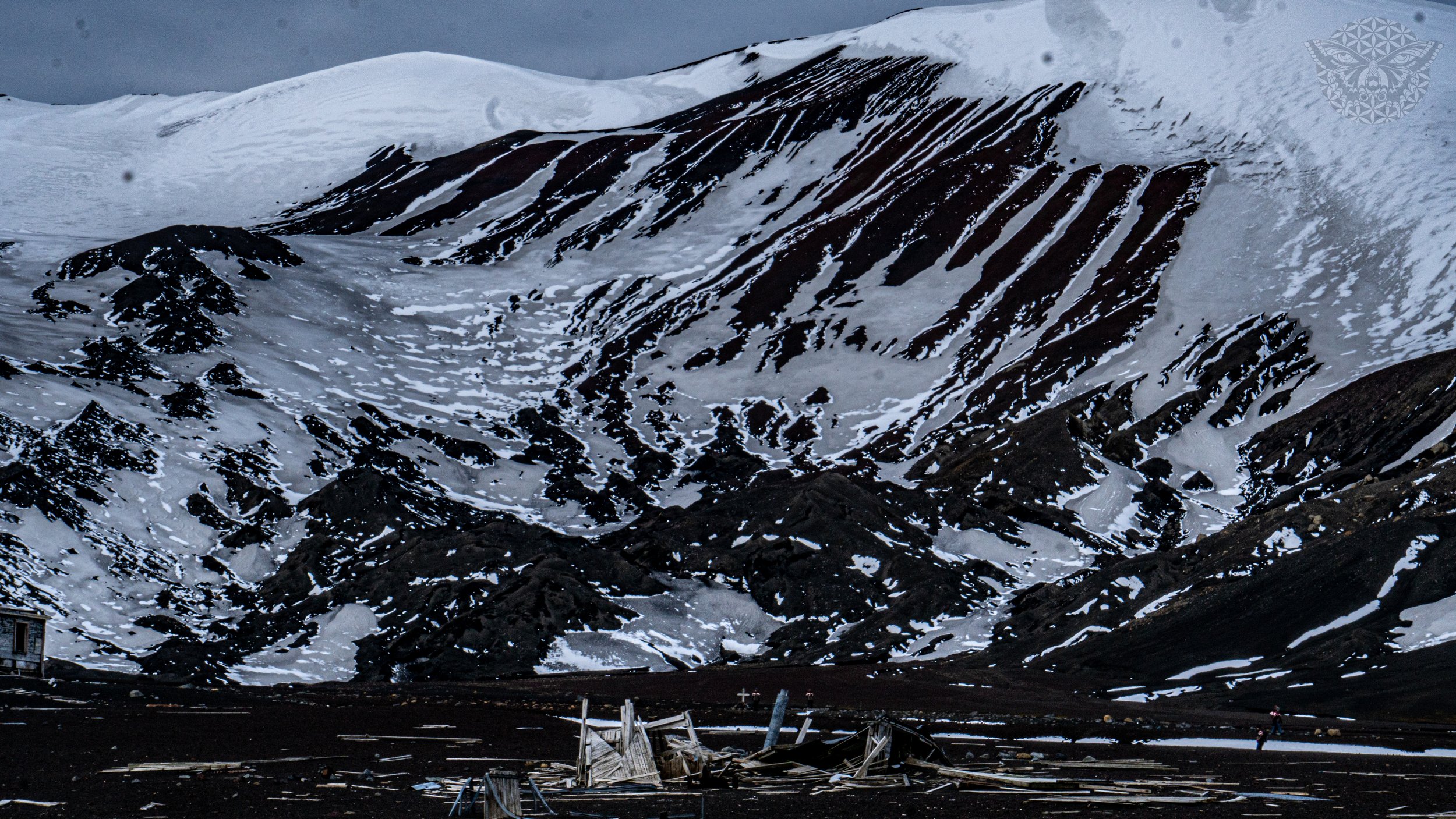 _DSC2919.jpeg