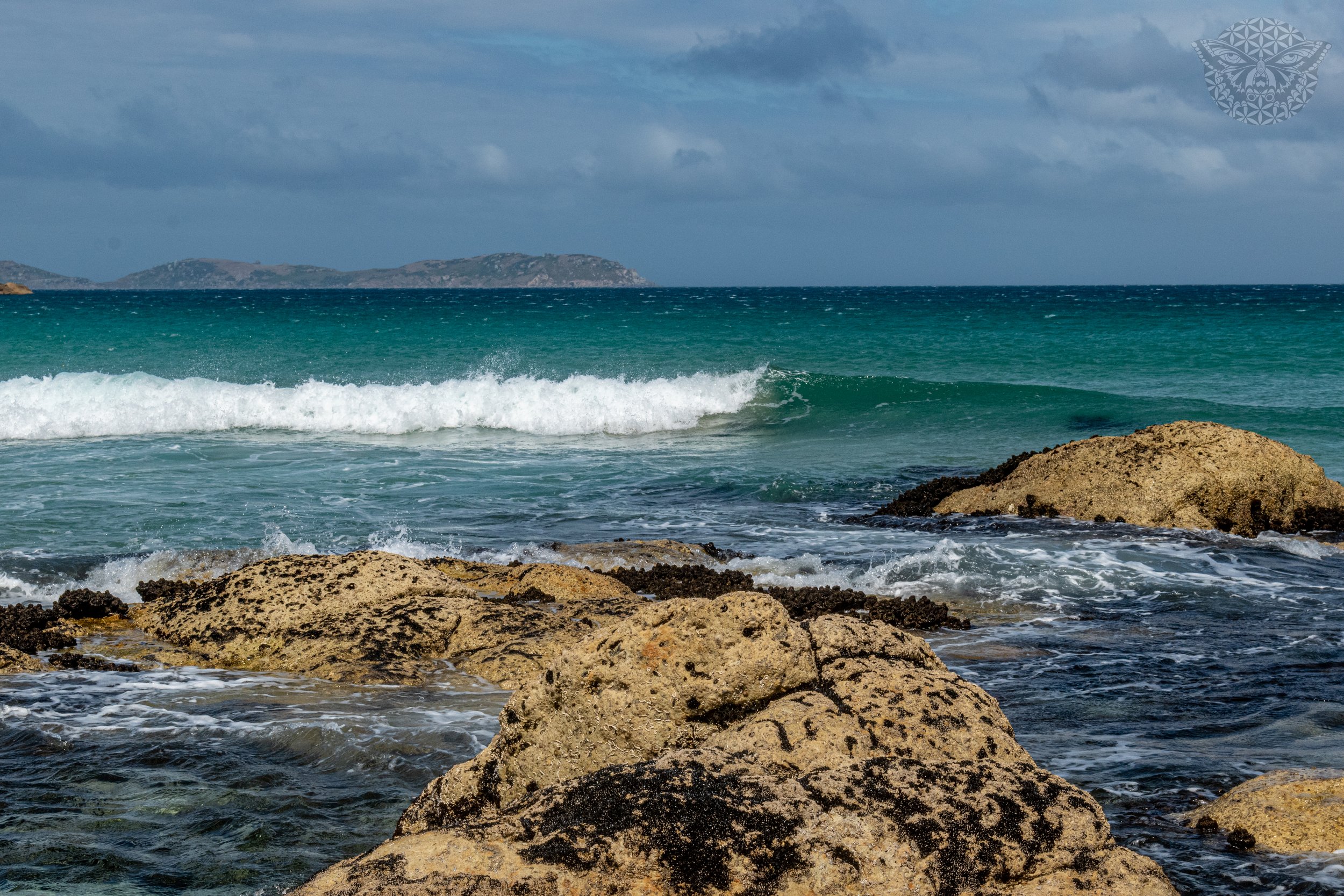_DSC0770.jpeg