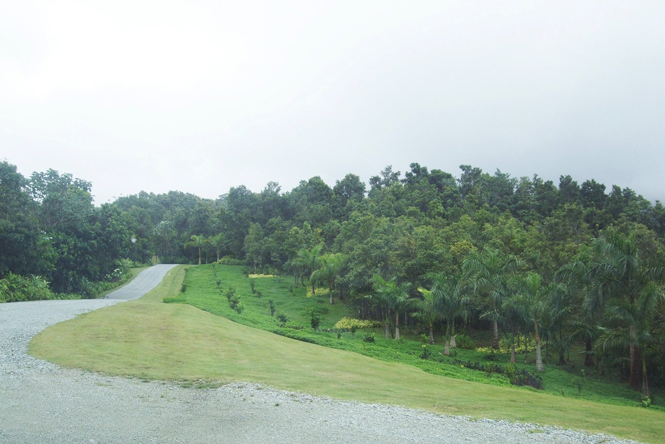 VIEW FROM THE HELIPAD TOWARDS THE ROAD