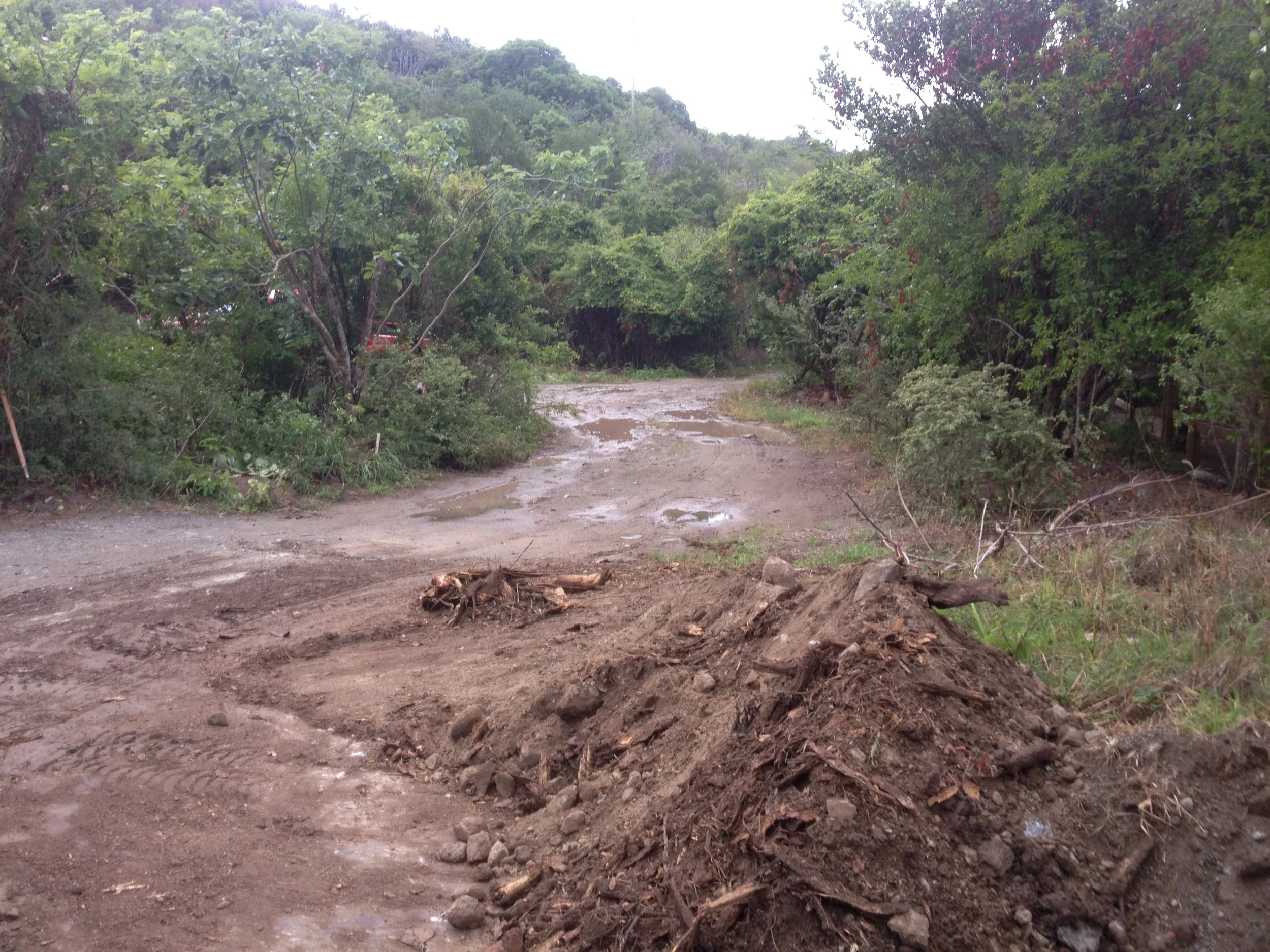 00. mud at bottom.JPG