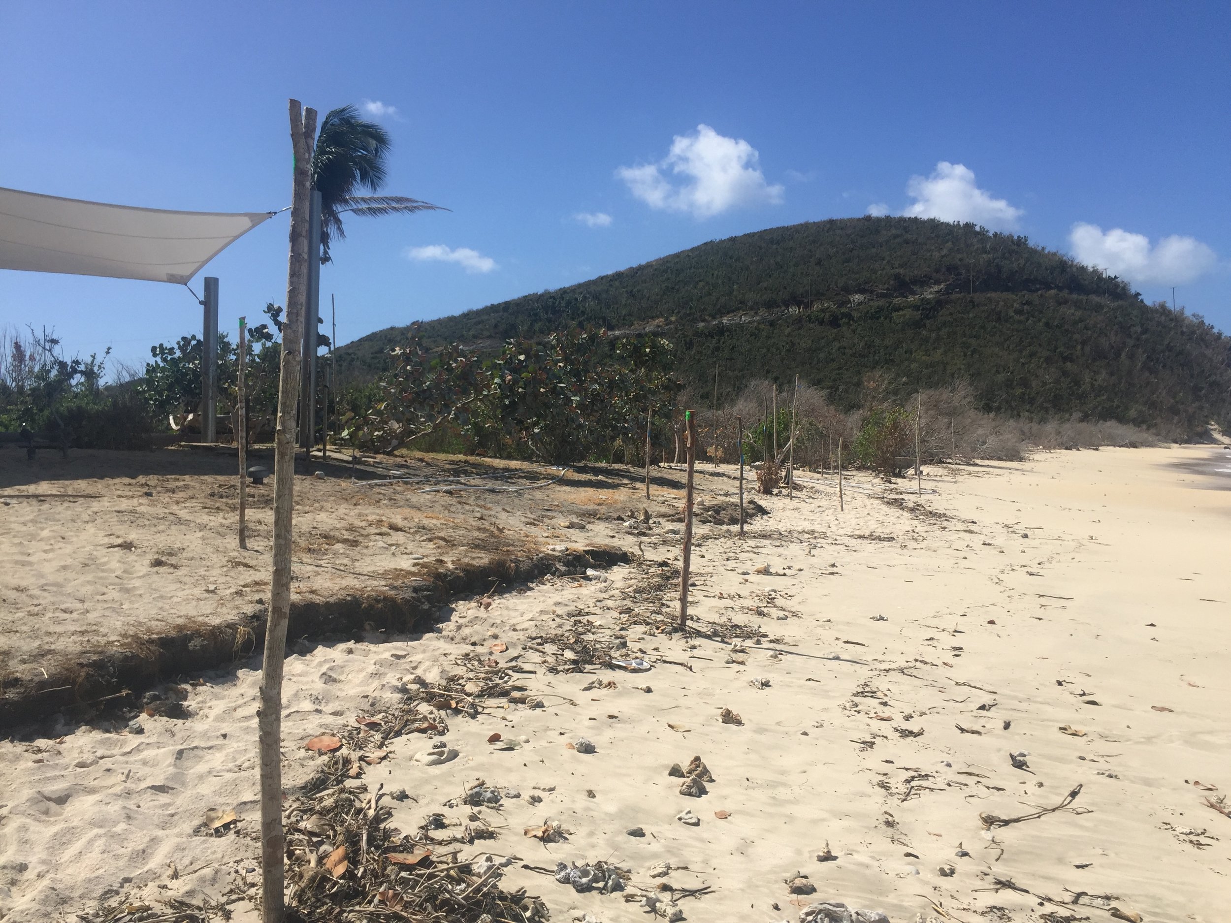 IN THE AFTERMATH OF IRMA - The Dunes, Before