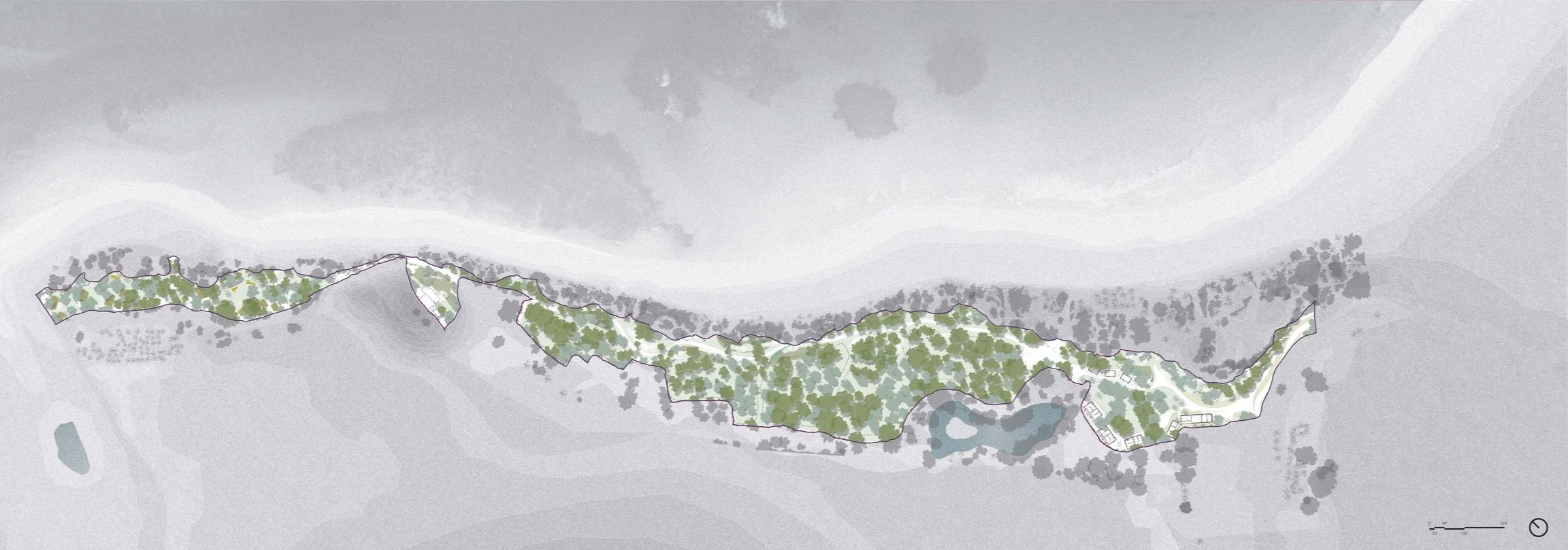 FLAMENCO BEACH - Reforestation Area