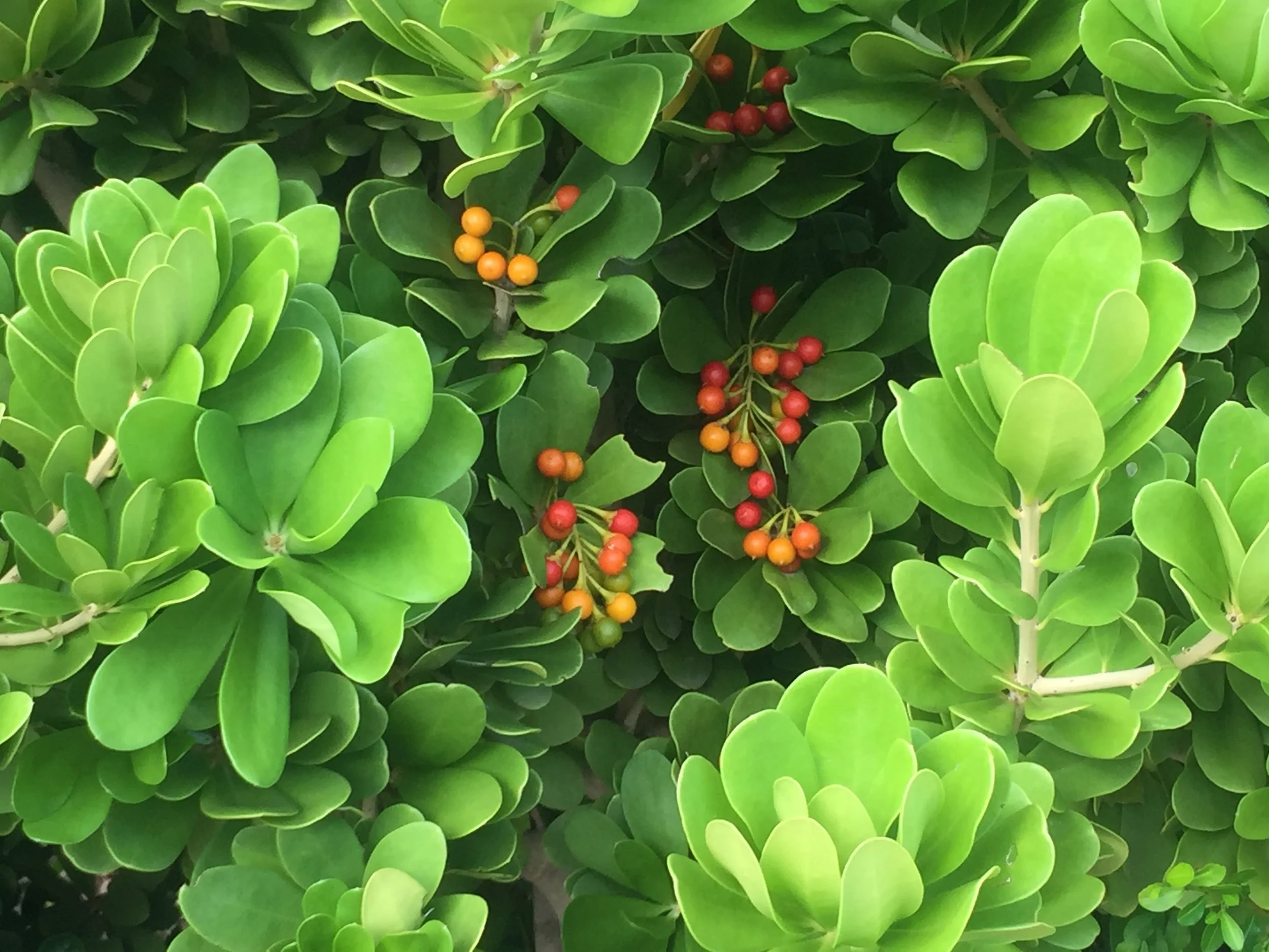 LEARNING ABOUT TEXTURE-10 copy.JPG