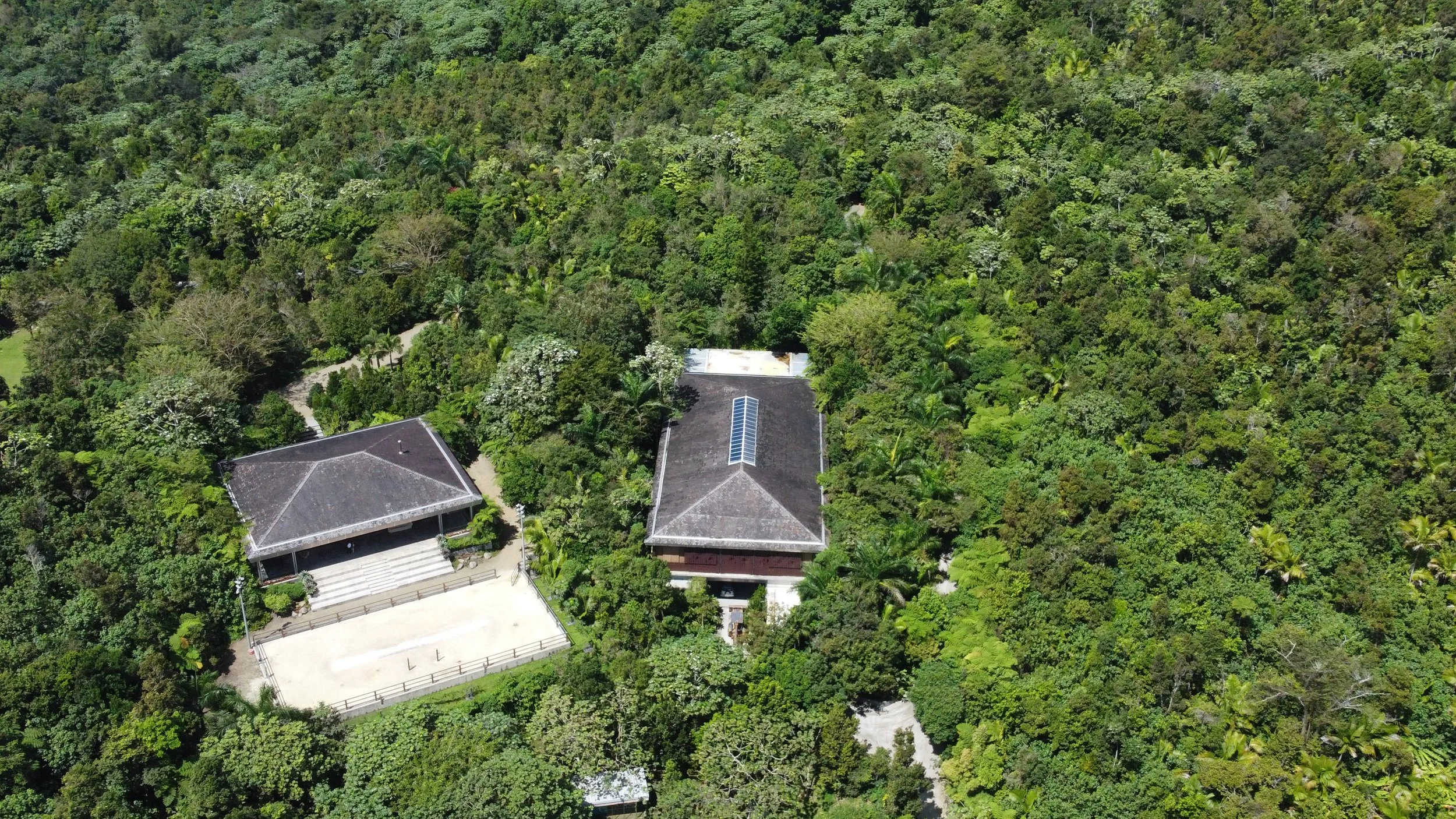 AERIAL VIEW, 2025