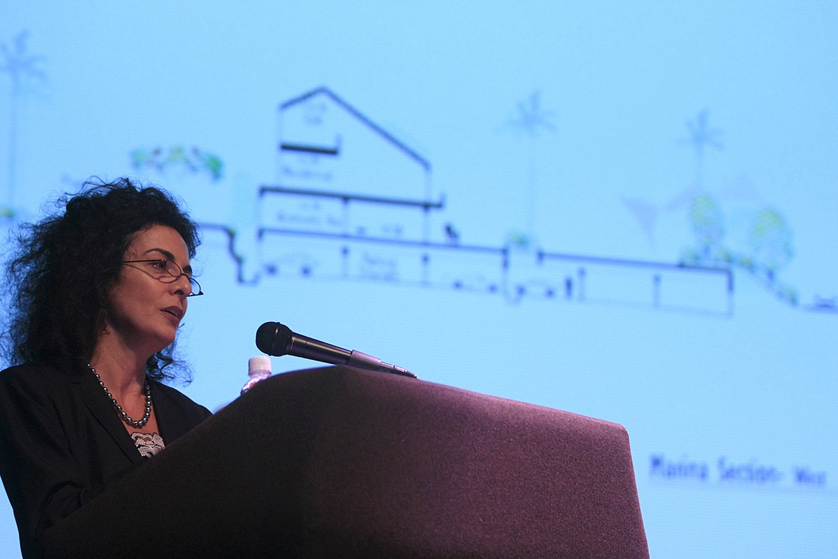 rossana-vaccarino-lecture-caappr-puerto-rico.jpg