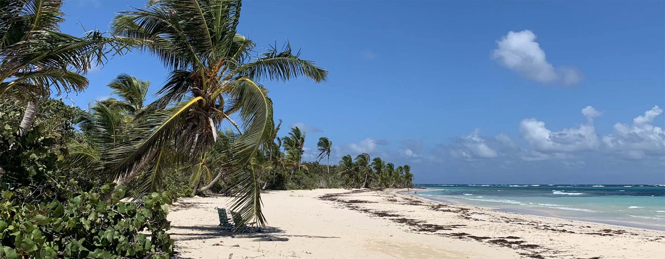 FLAMENCO BEACH RECOVERY PROJECT