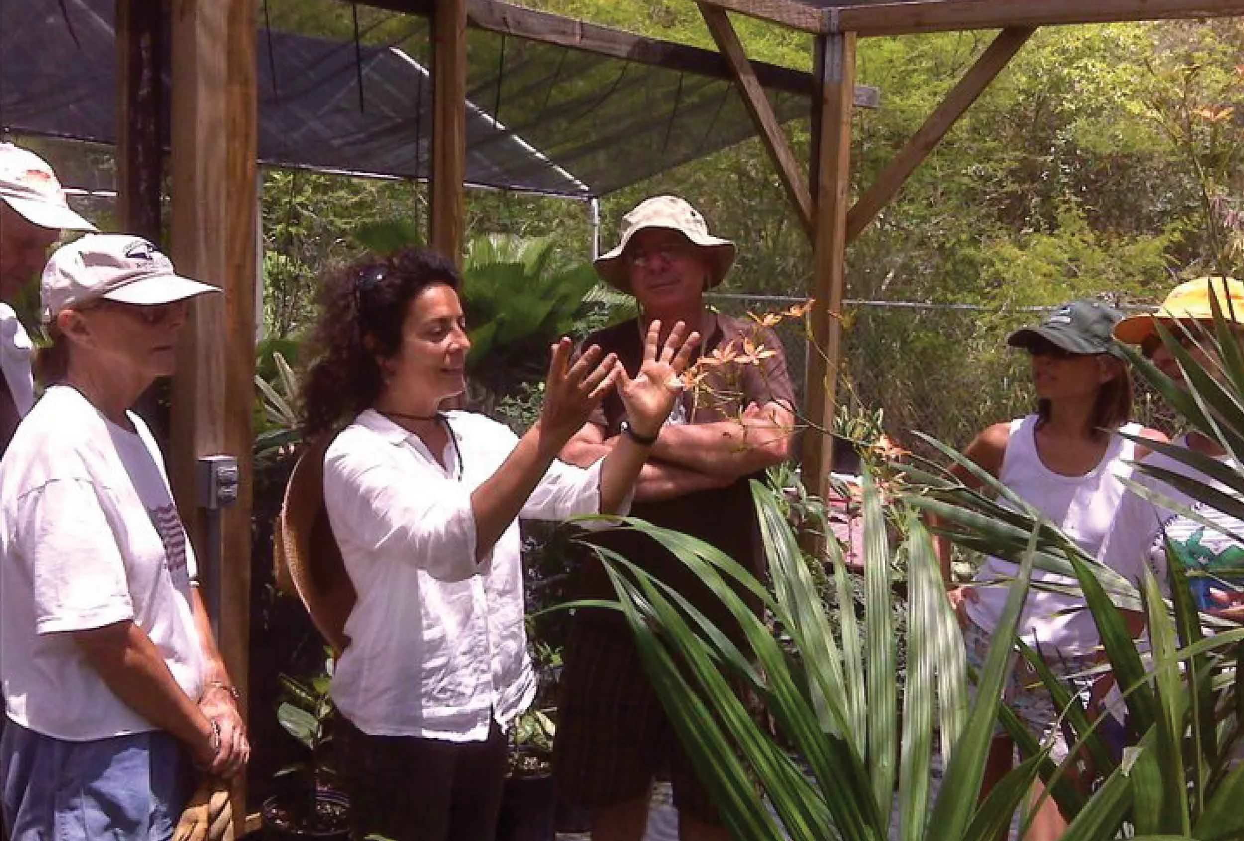magens-bay-arboretum-plant-nursery-st-thomas.jpg