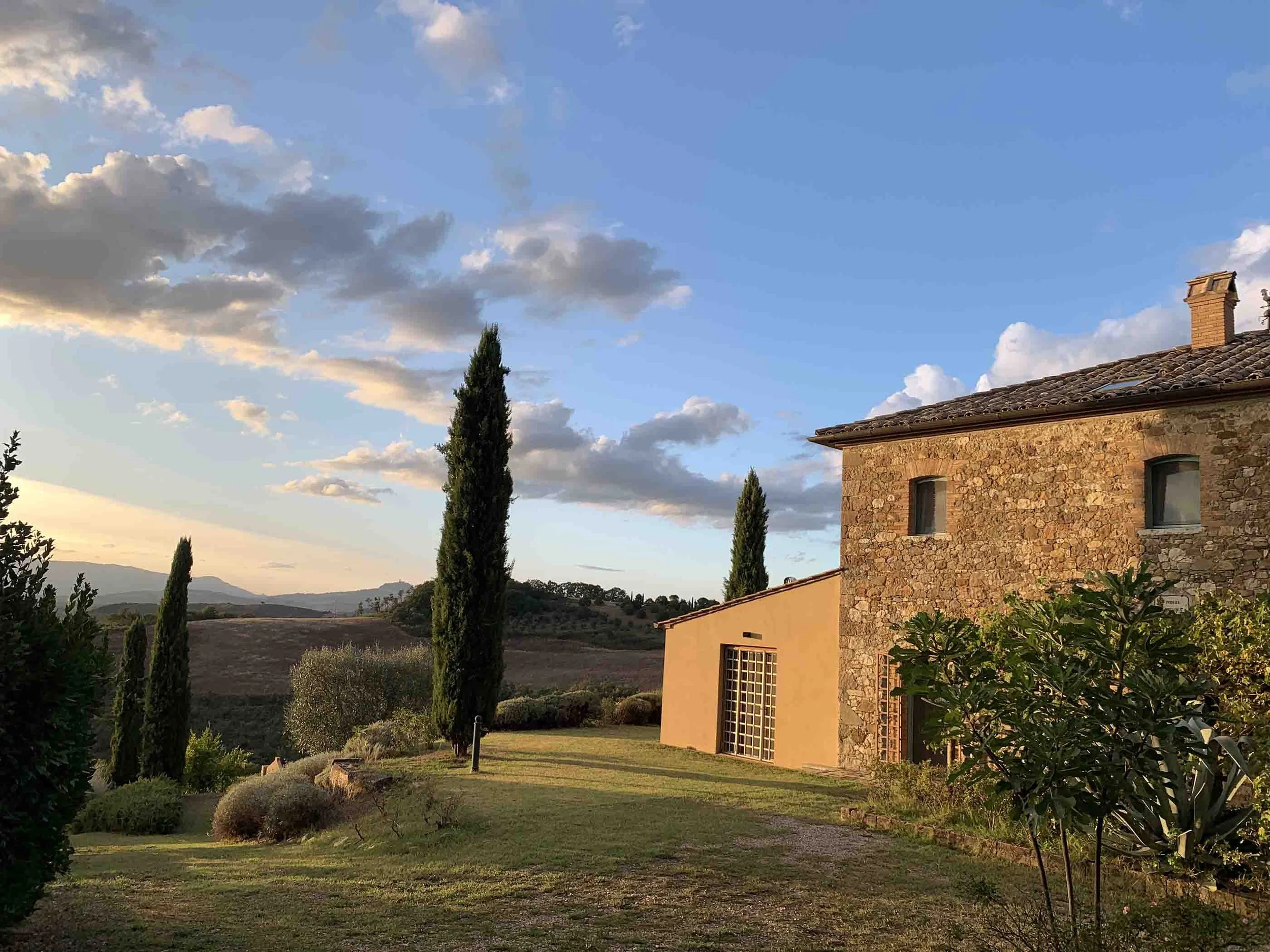 vaccarino-associates-landscape-services.jpg