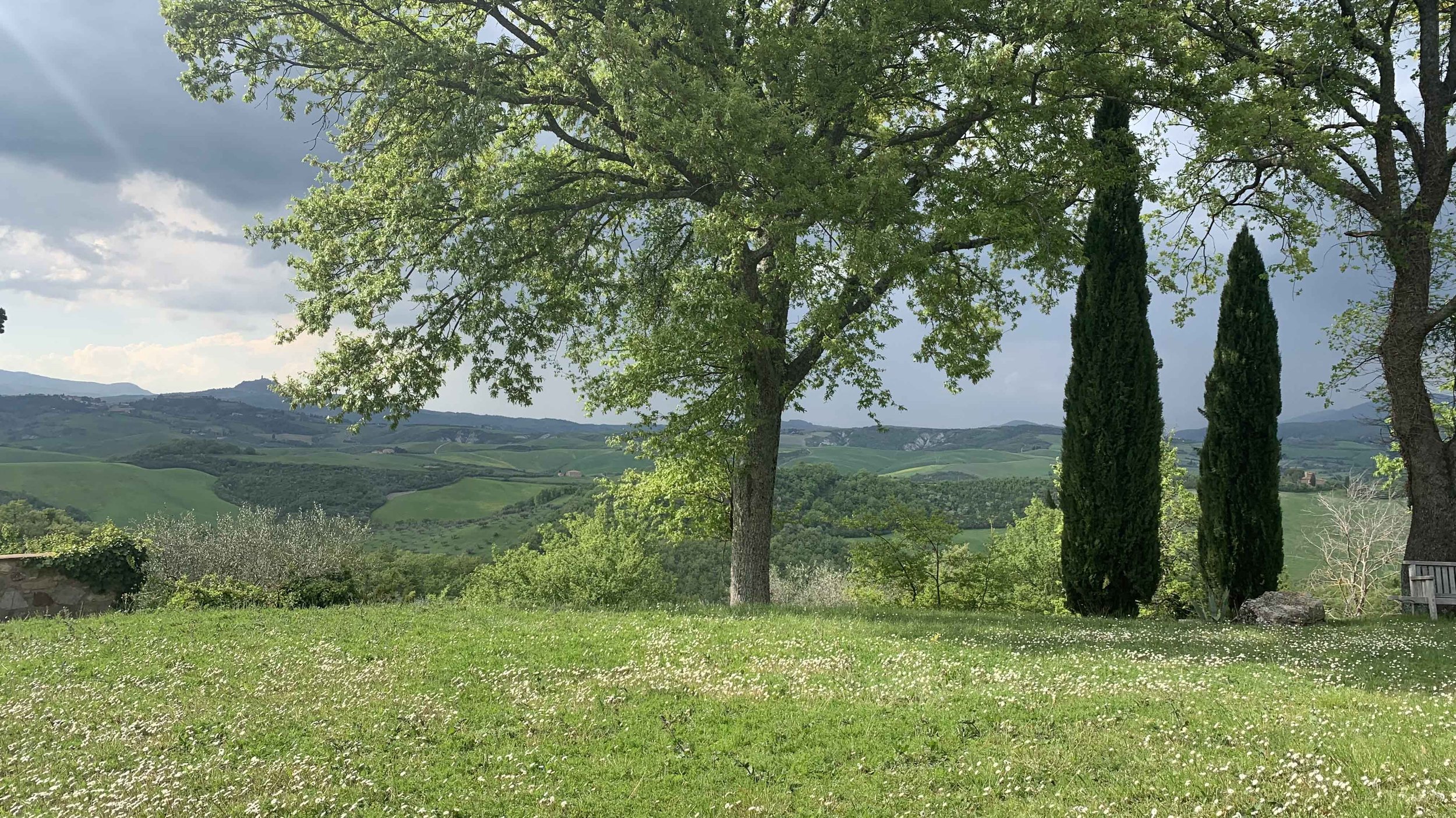 vaccarino-associates-landscape-design-services.jpg