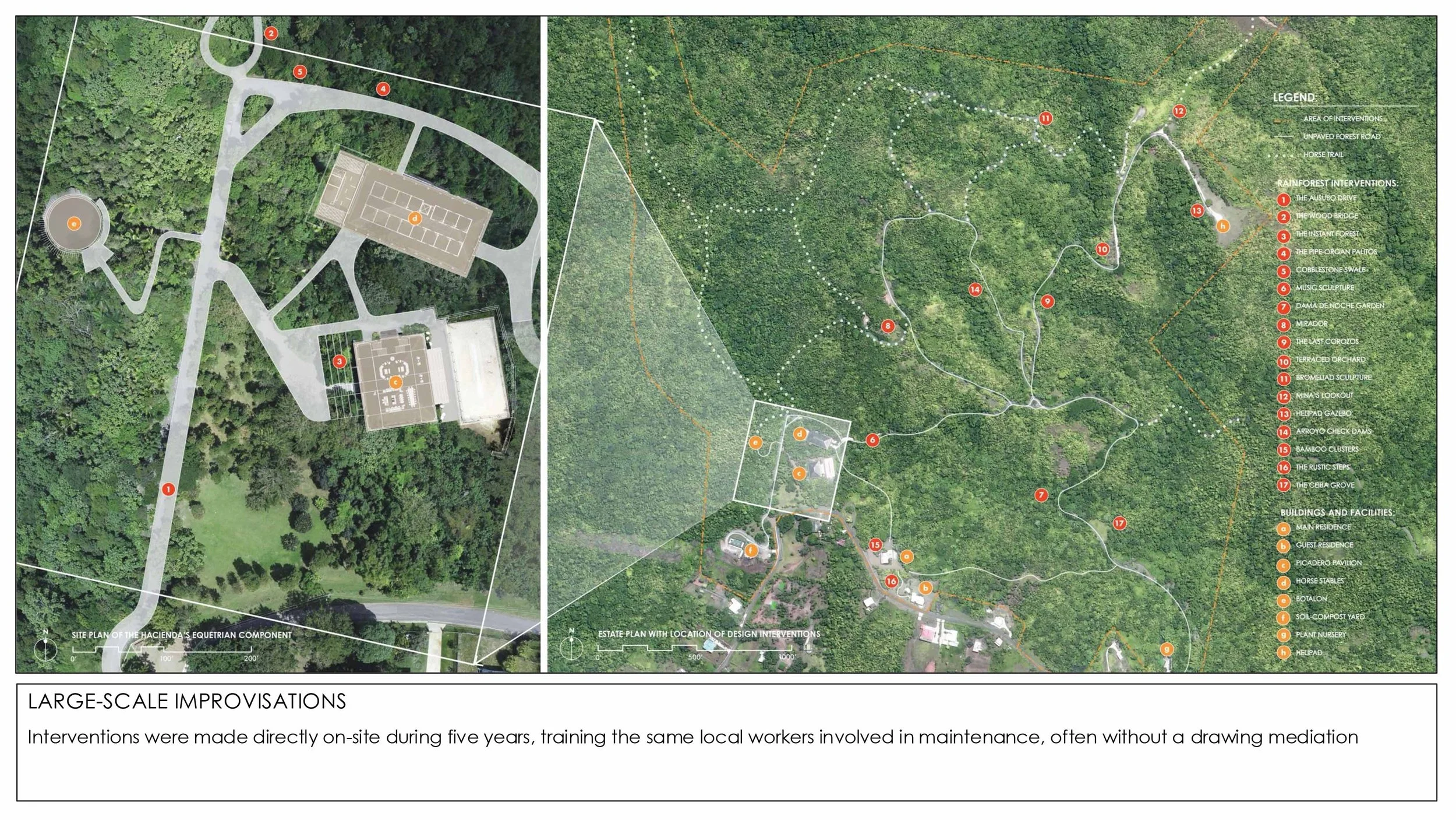2026 Rainforest Interventions-3.jpg