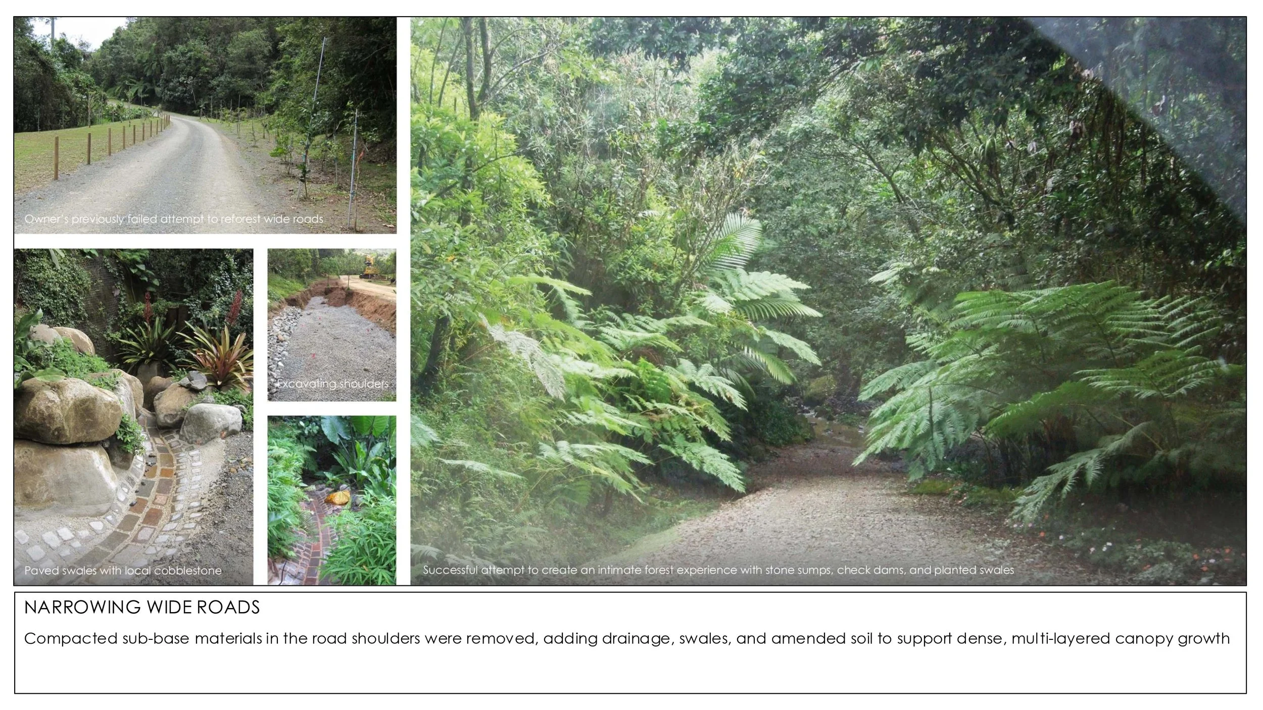 2026 Rainforest Interventions-5.jpg