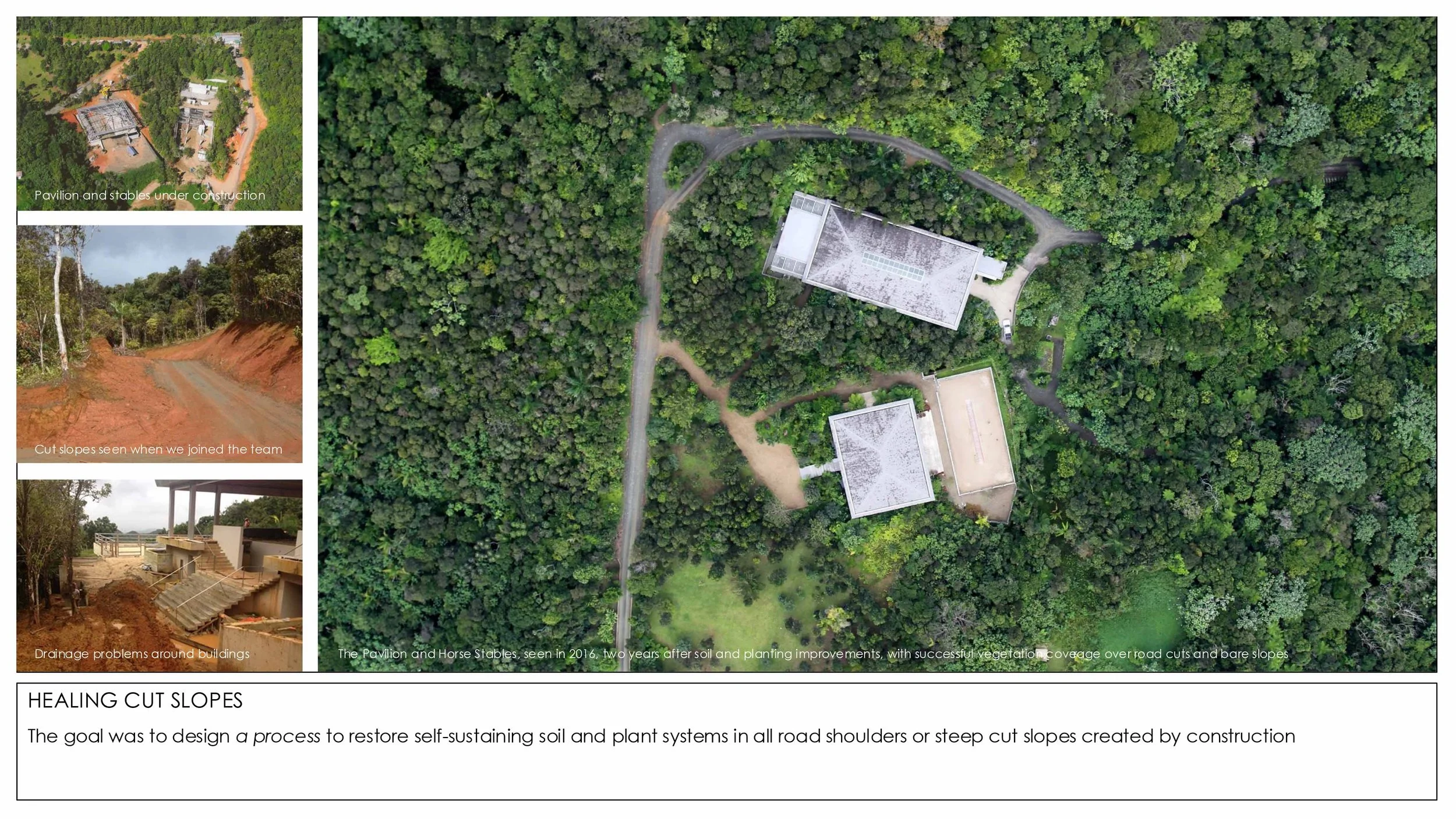 2026 Rainforest Interventions-6.jpg