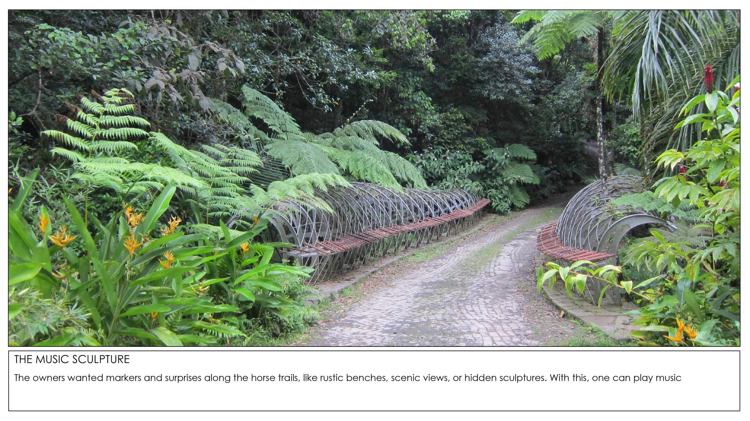 2026 Rainforest Interventions-7.jpg